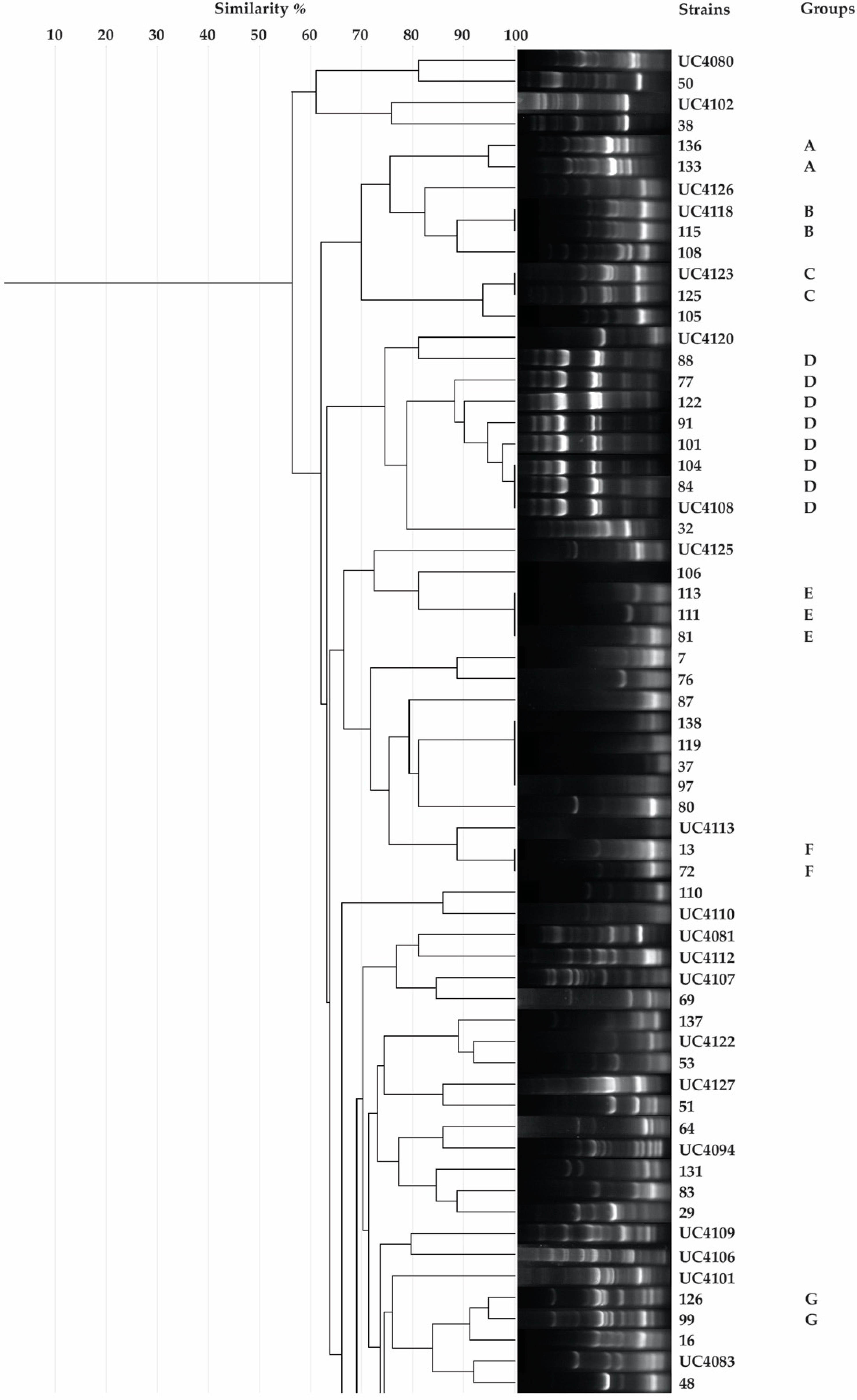 Plants 09 00668 g001a