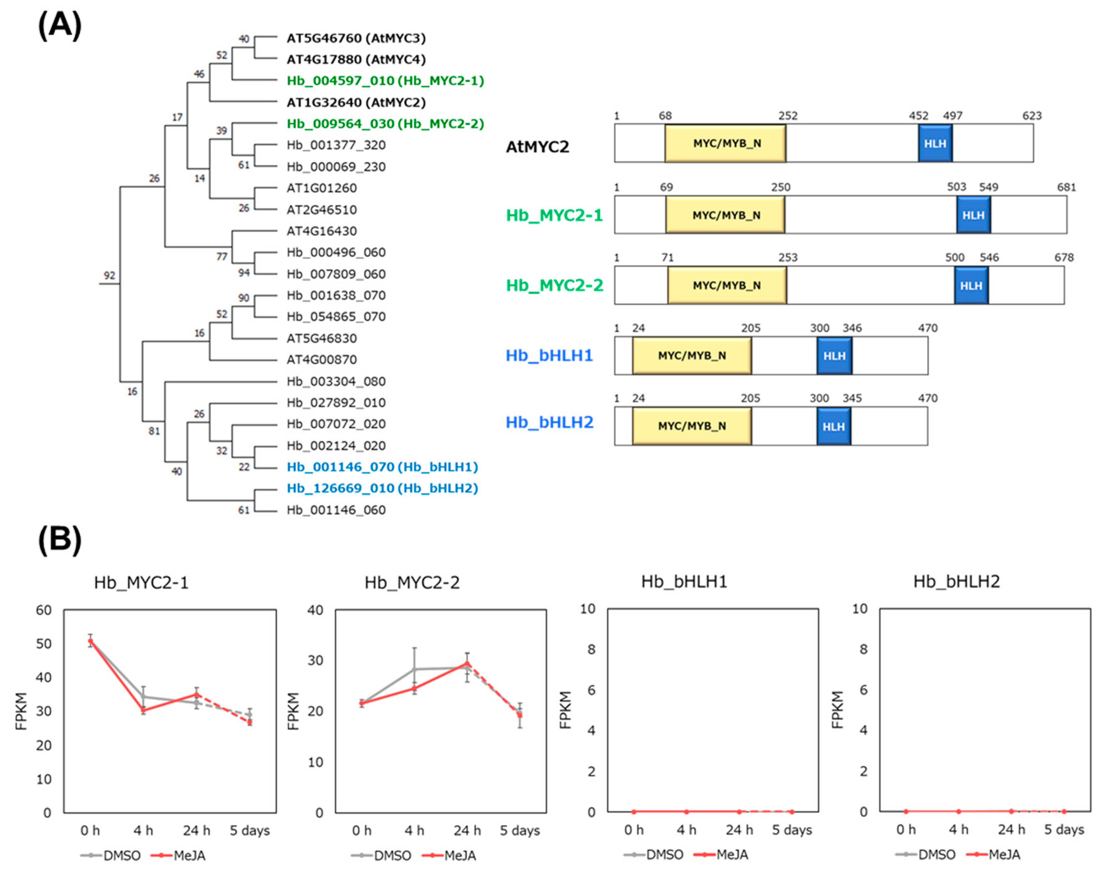 Plants 09 00674 g003 Plants 09 00674 g003