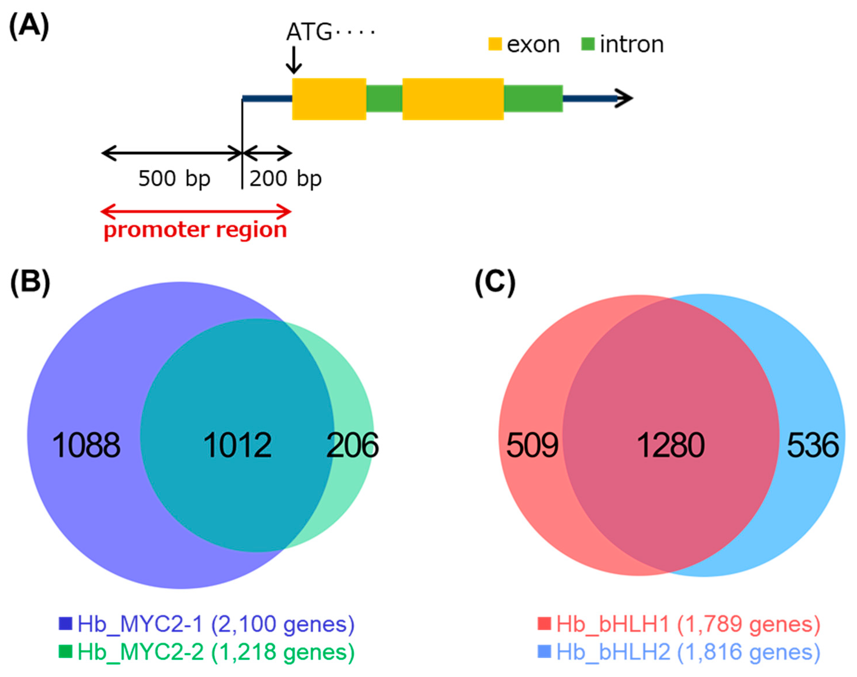 Plants 09 00674 g004 Plants 09 00674 g004