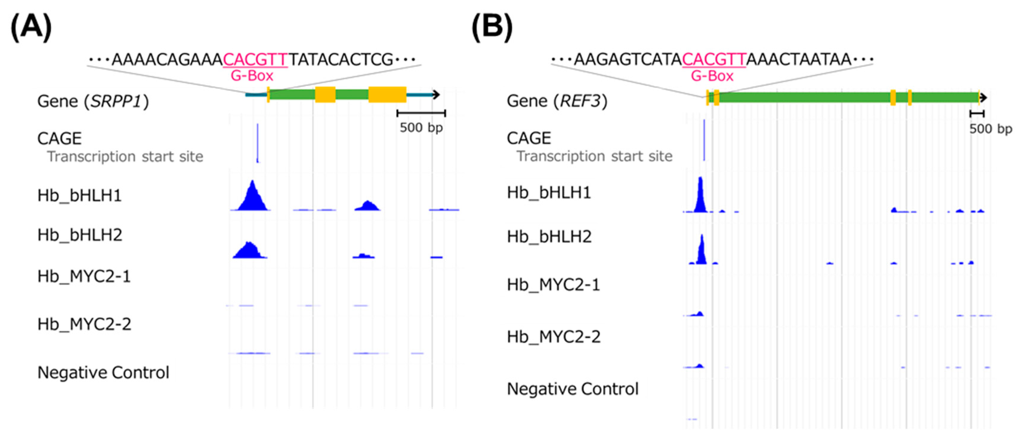 Plants 09 00674 g006 Plants 09 00674 g006