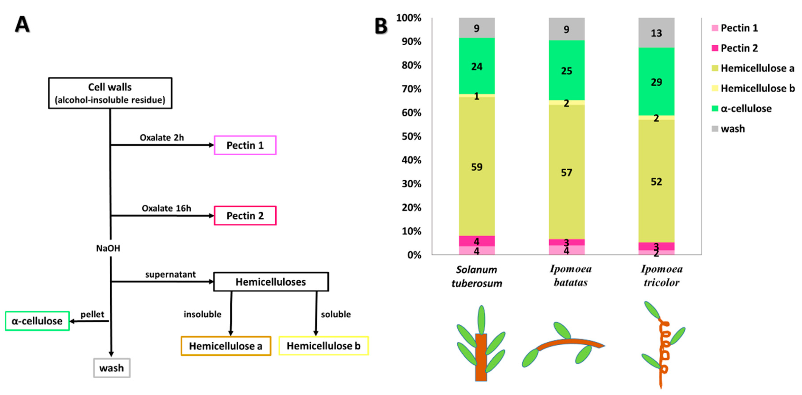 Plants 09 00678 g005