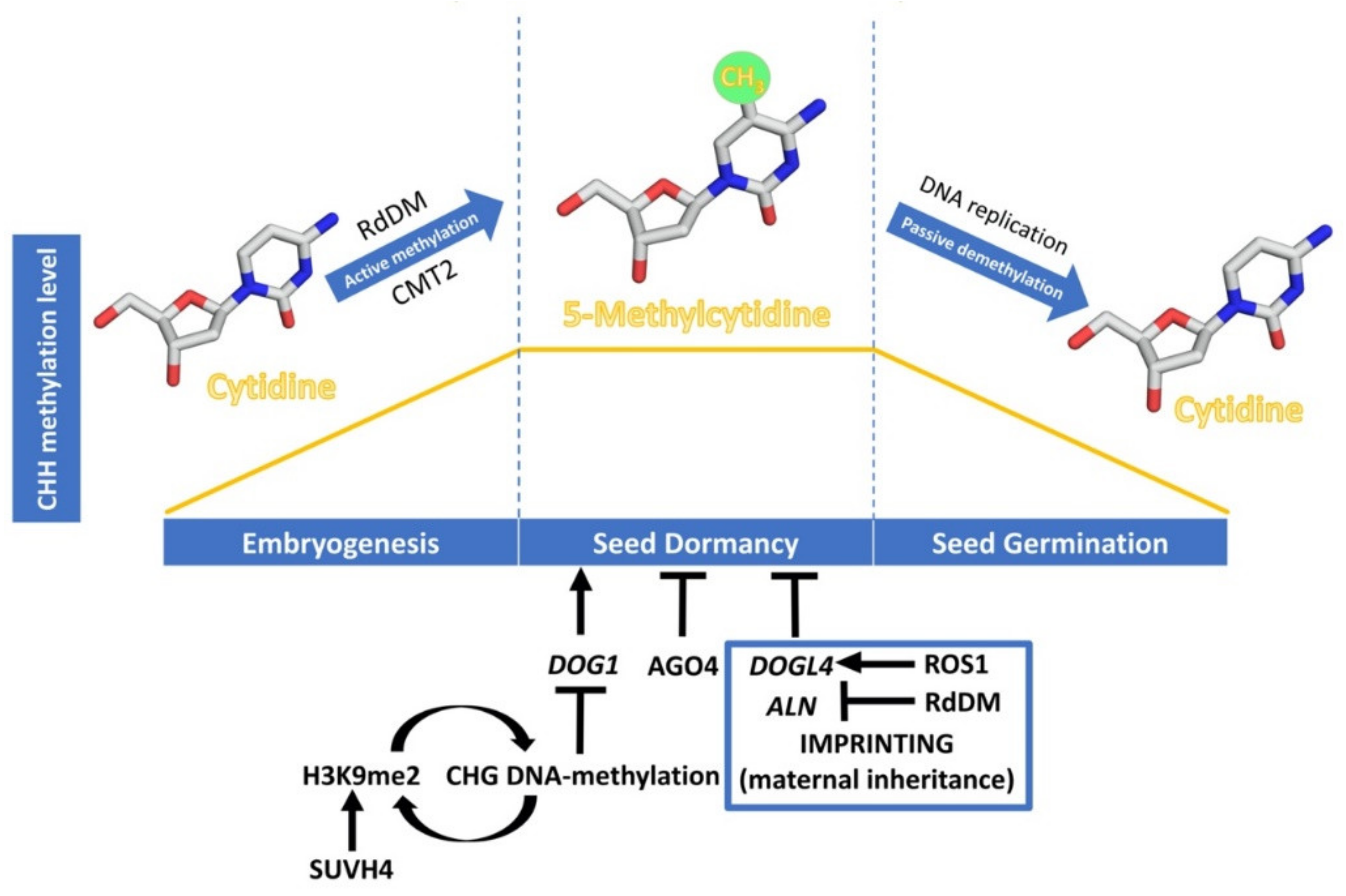 Plants 09 00679 g002