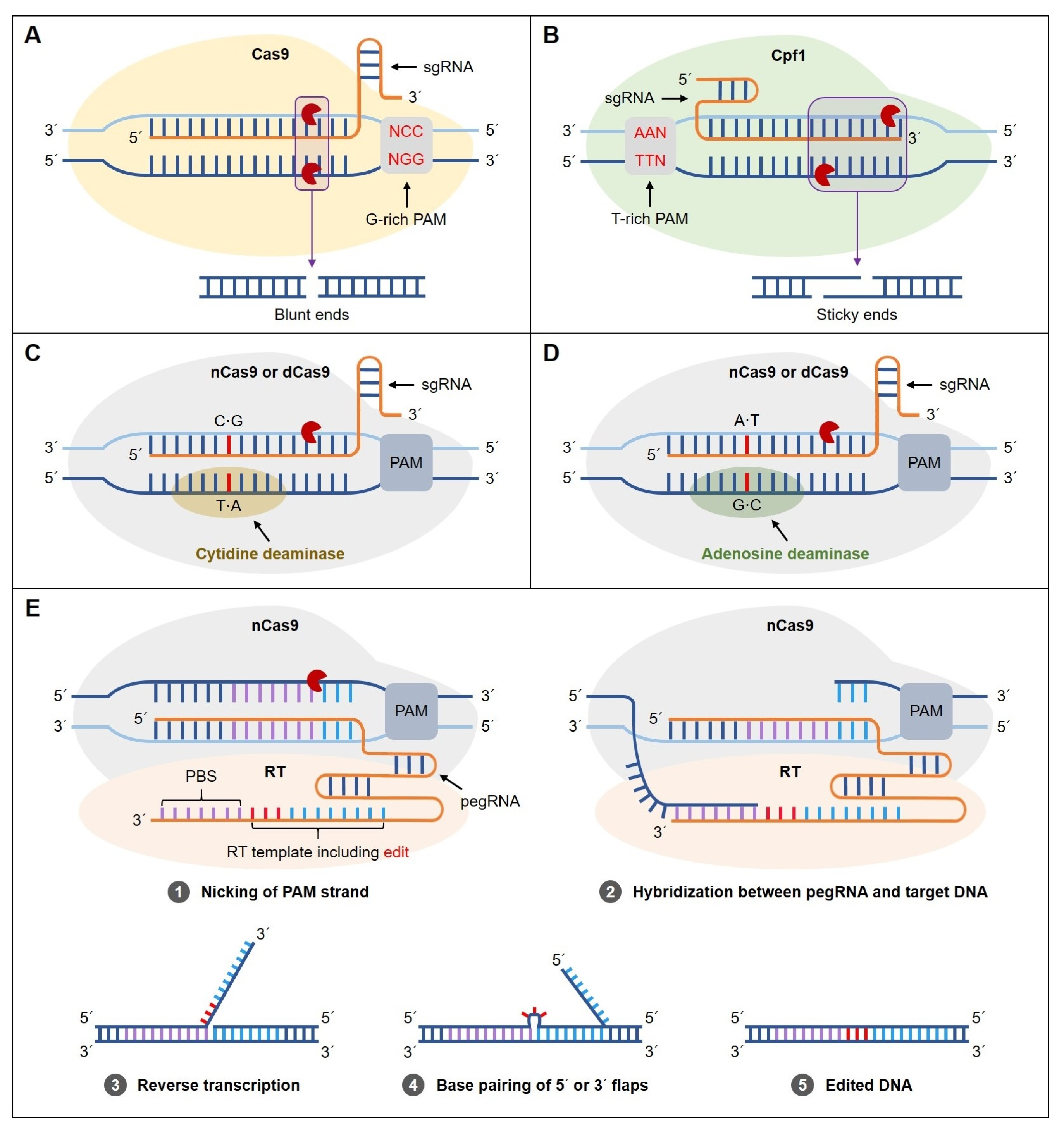 Plants 09 00687 g001
