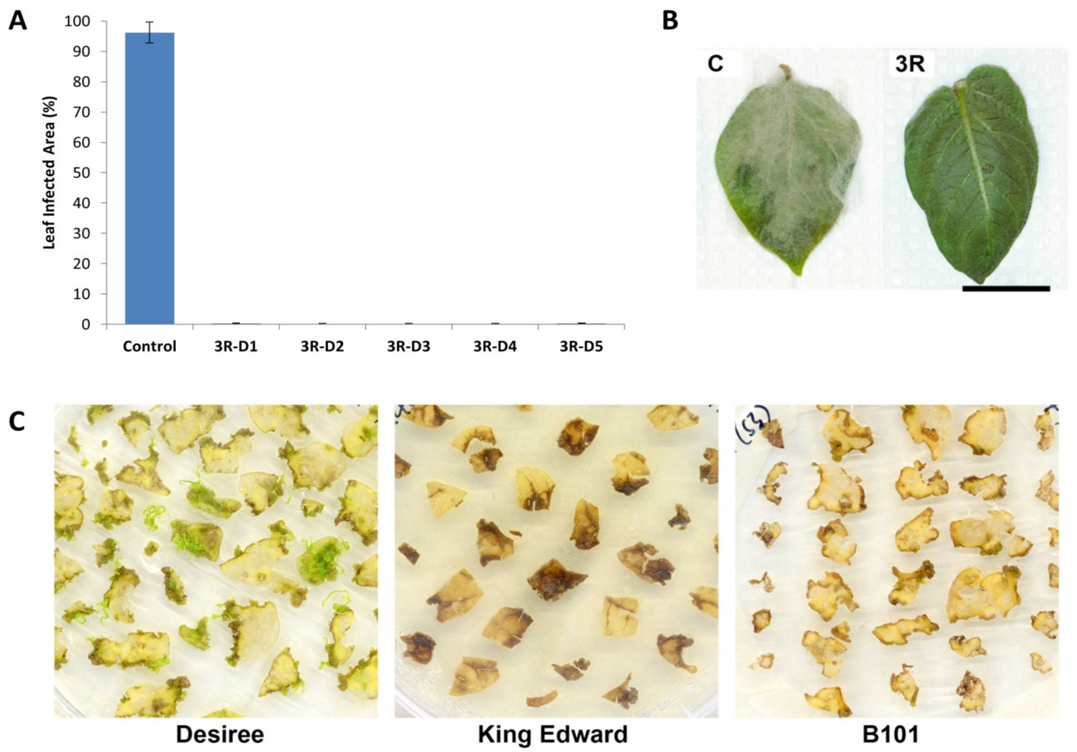 Plants 09 00695 g001 Plants 09 00695 g001