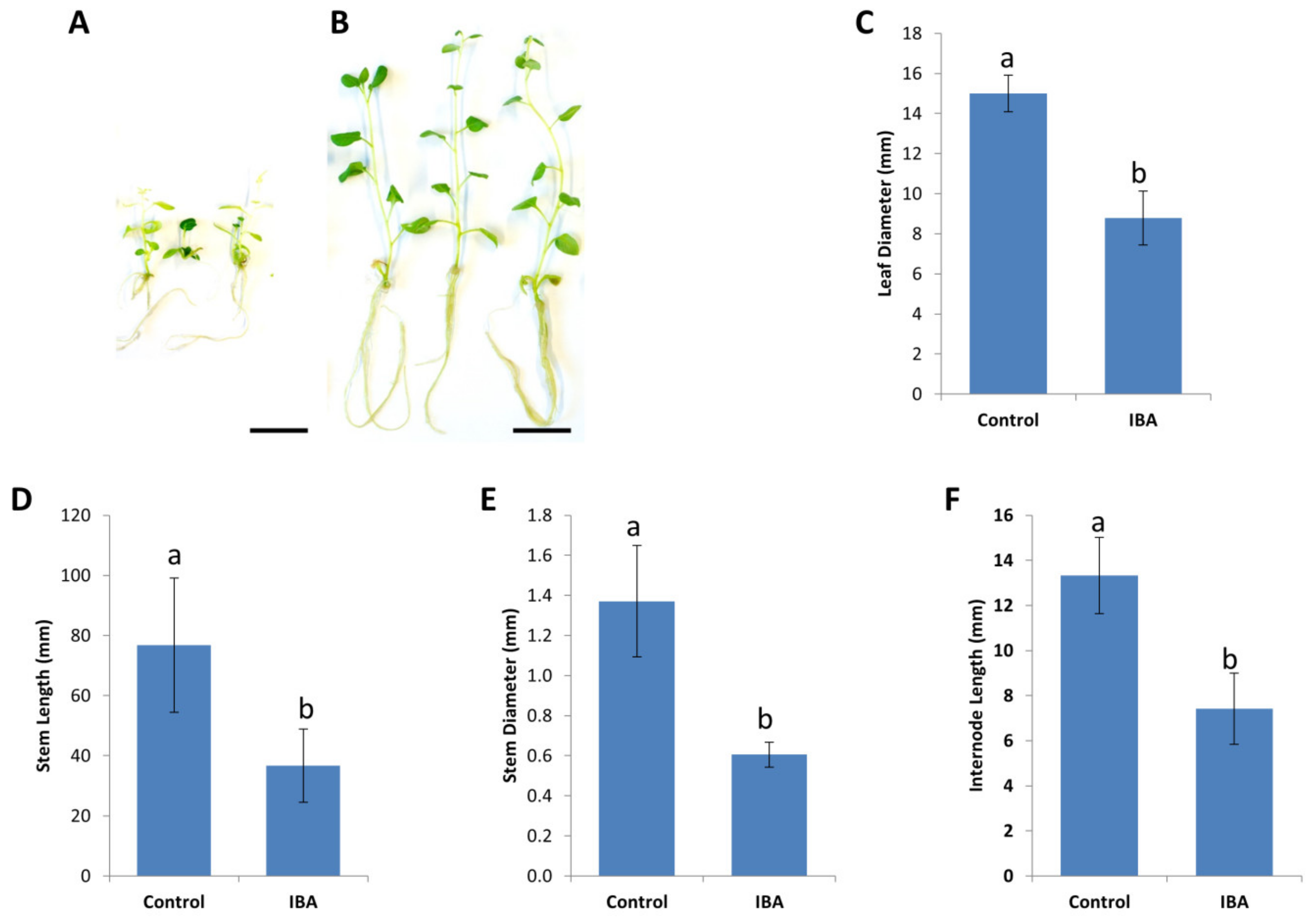 Plants 09 00695 g002 Plants 09 00695 g002