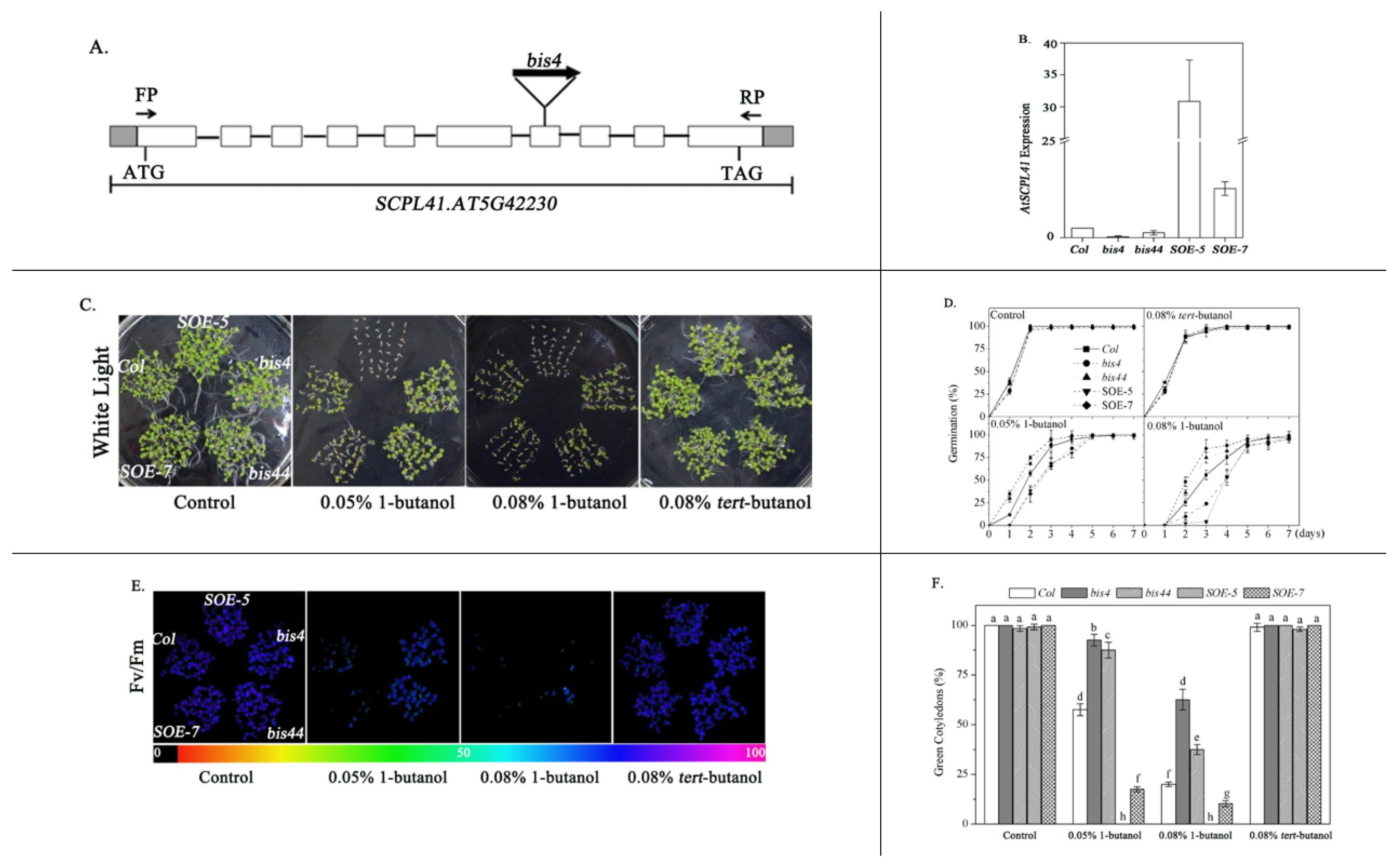 Plants 09 00696 g001
