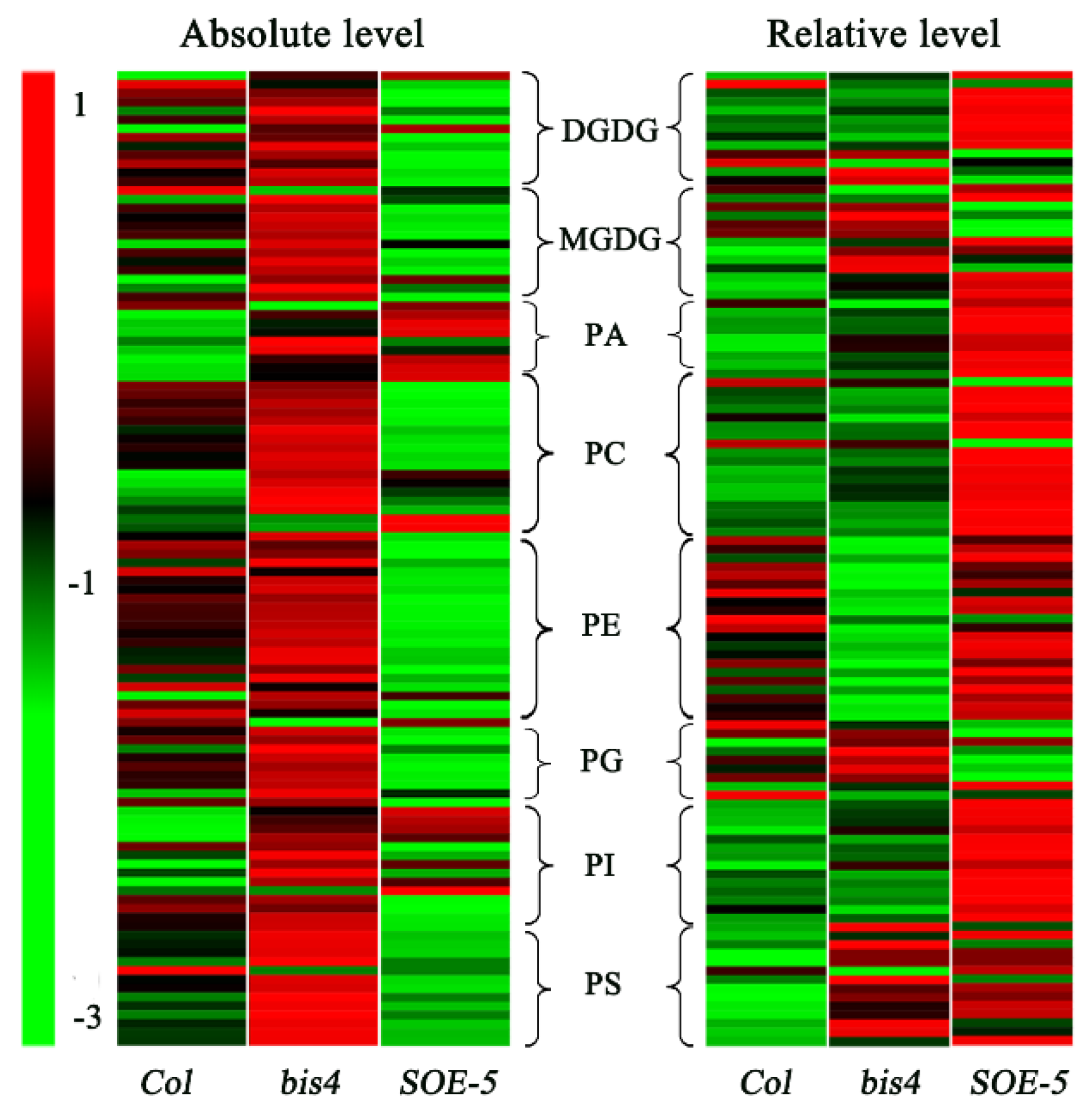 Plants 09 00696 g003