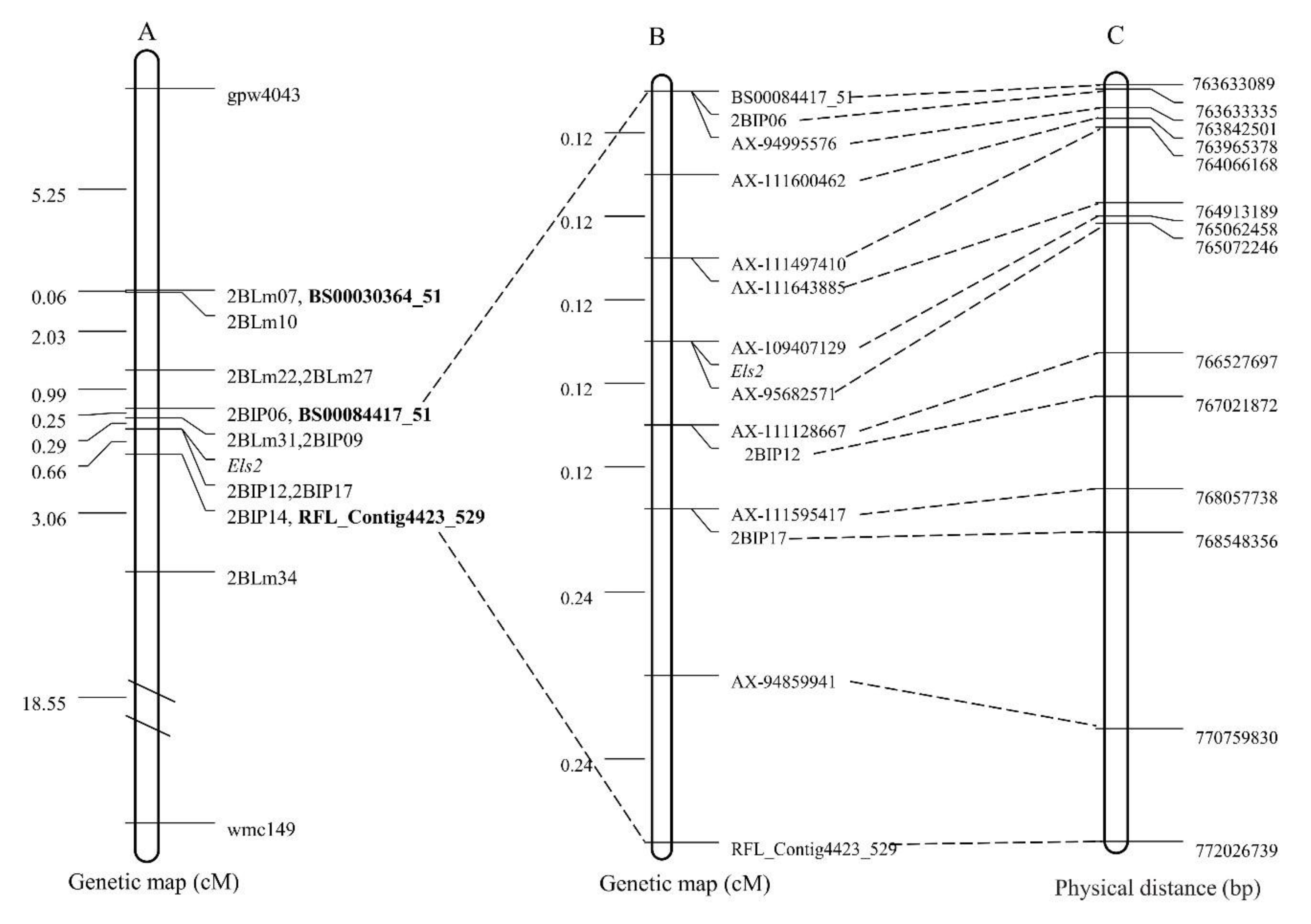 Plants 09 00698 g002 Plants 09 00698 g002