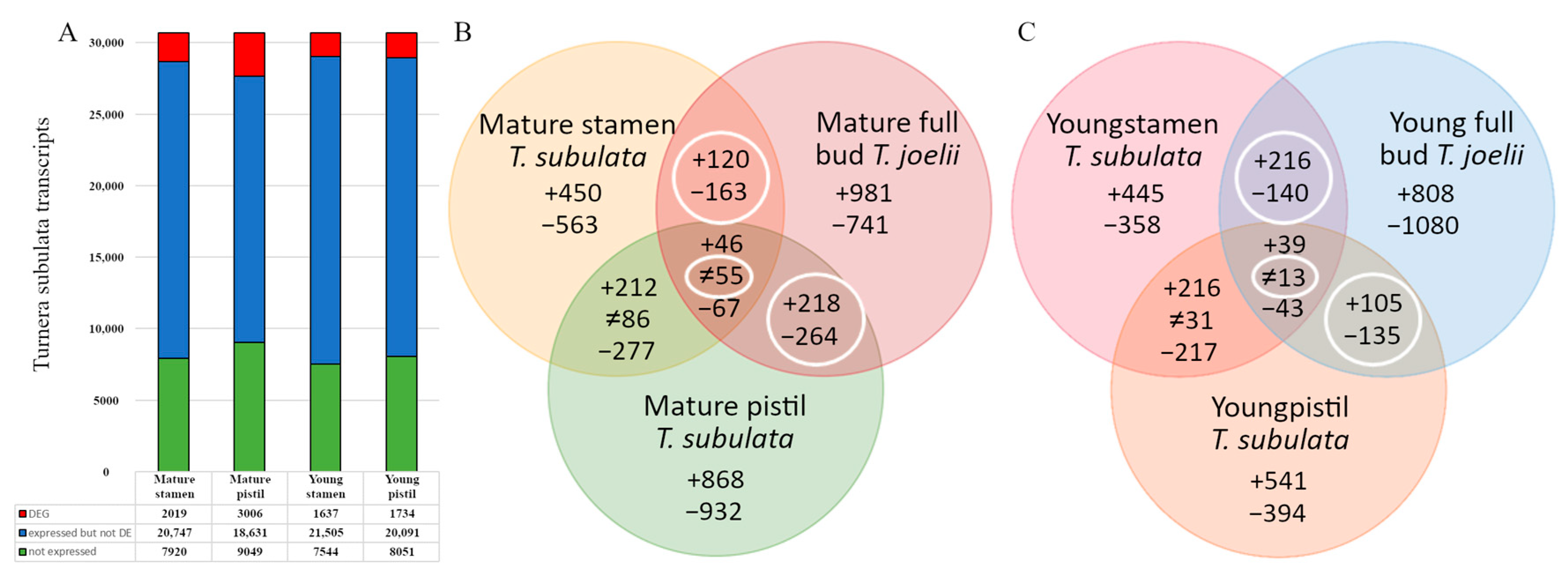Plants 09 00713 g002