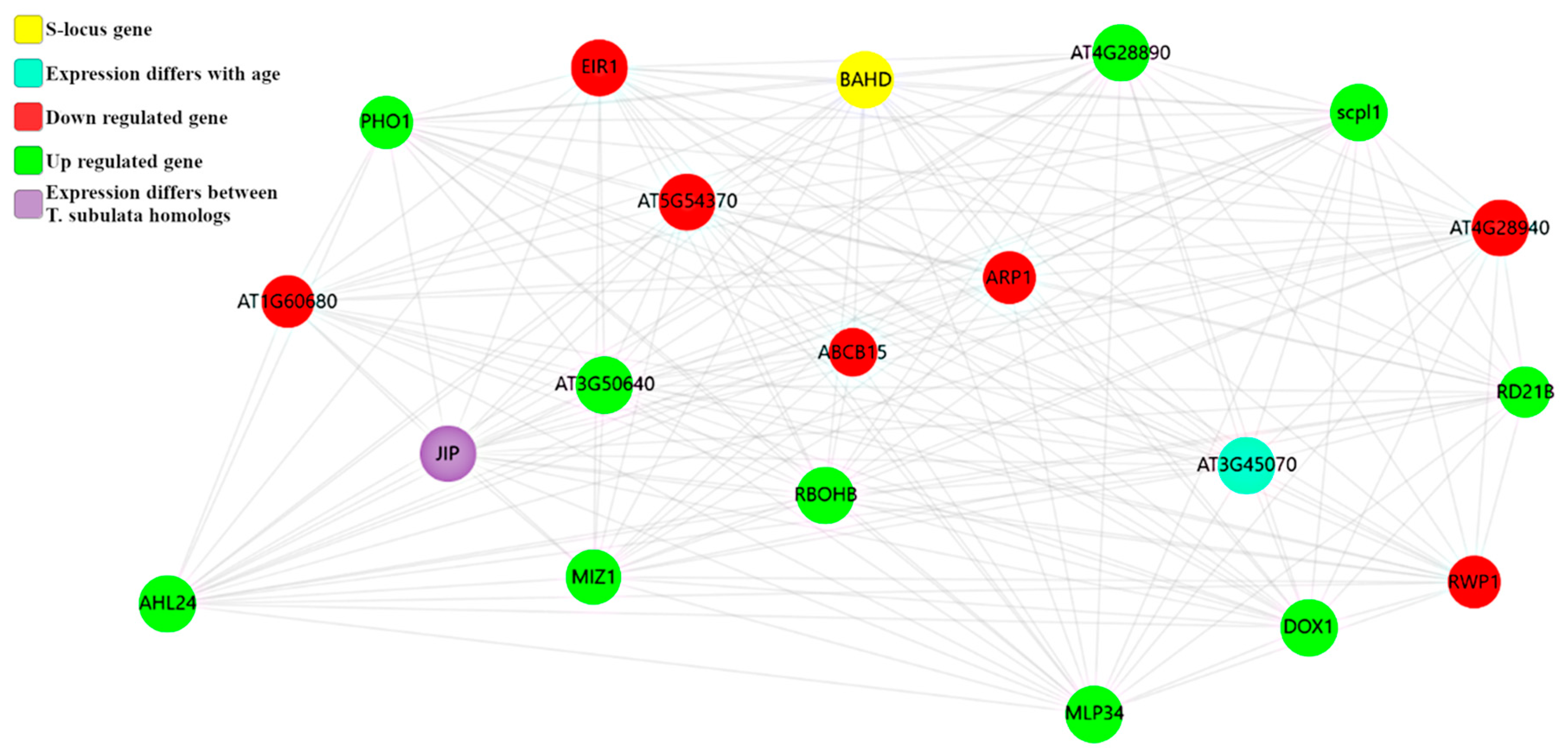 Plants 09 00713 g005