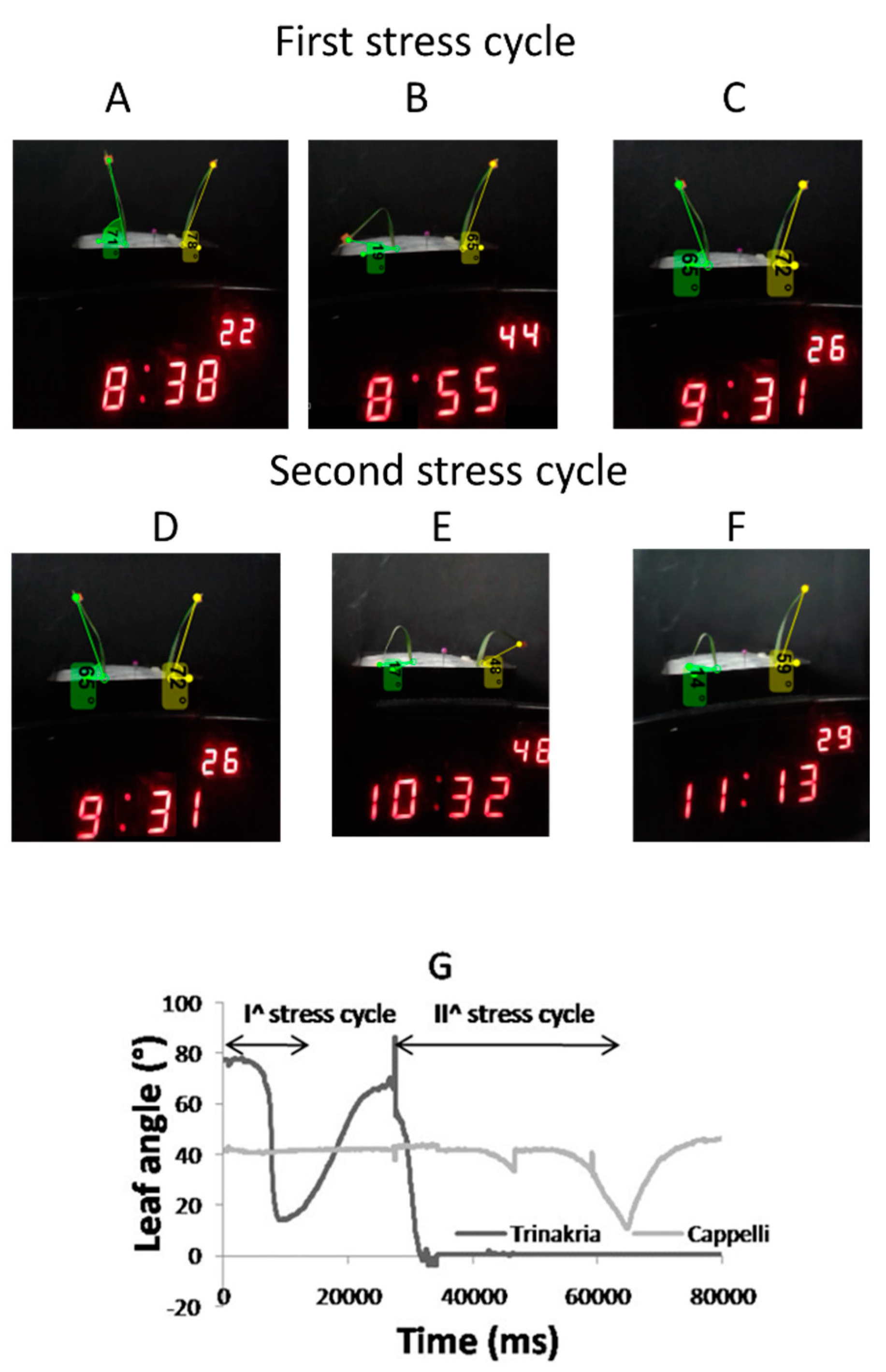 Plants 09 00718 g006