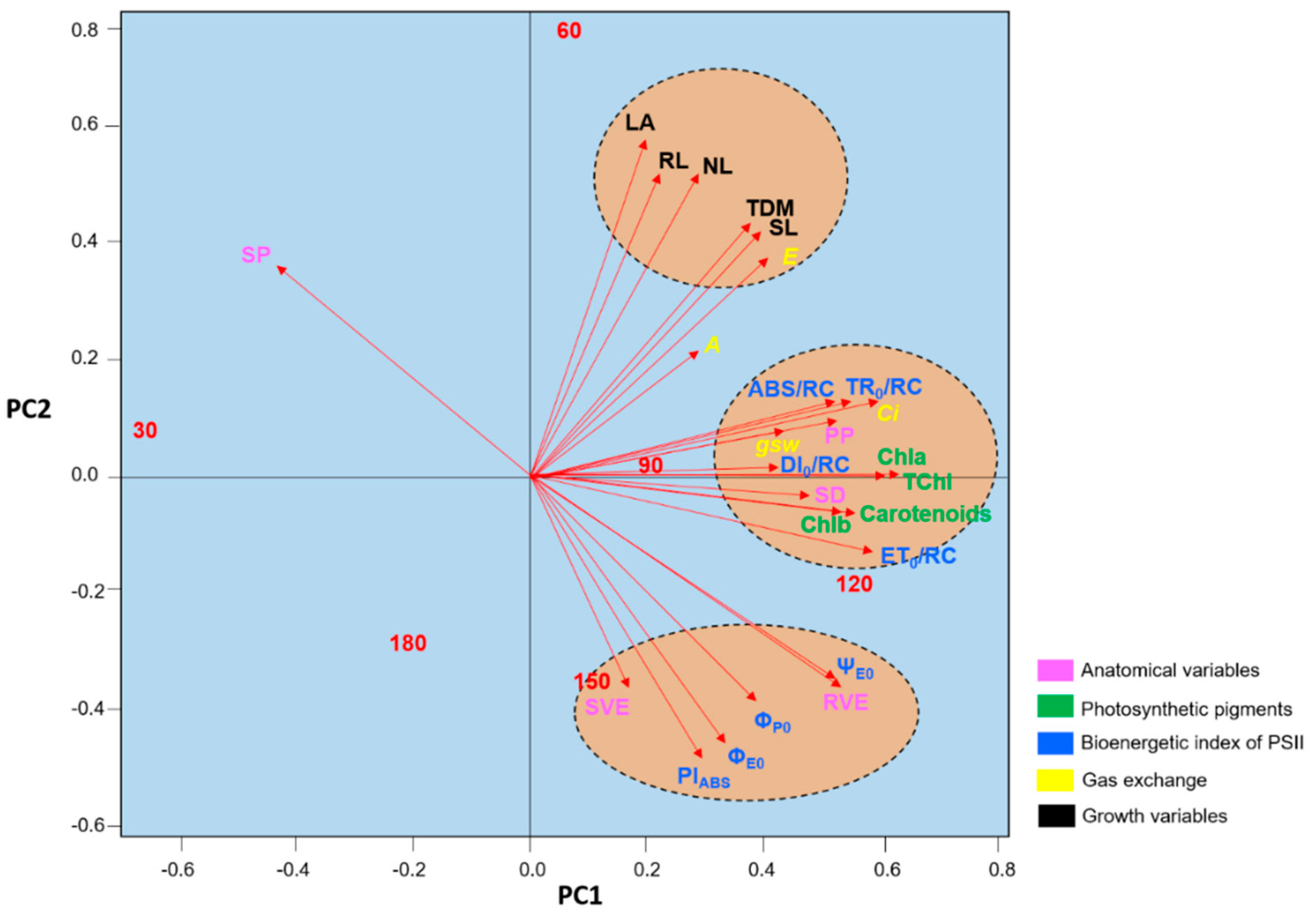 Plants 09 00721 g010 Plants 09 00721 g010