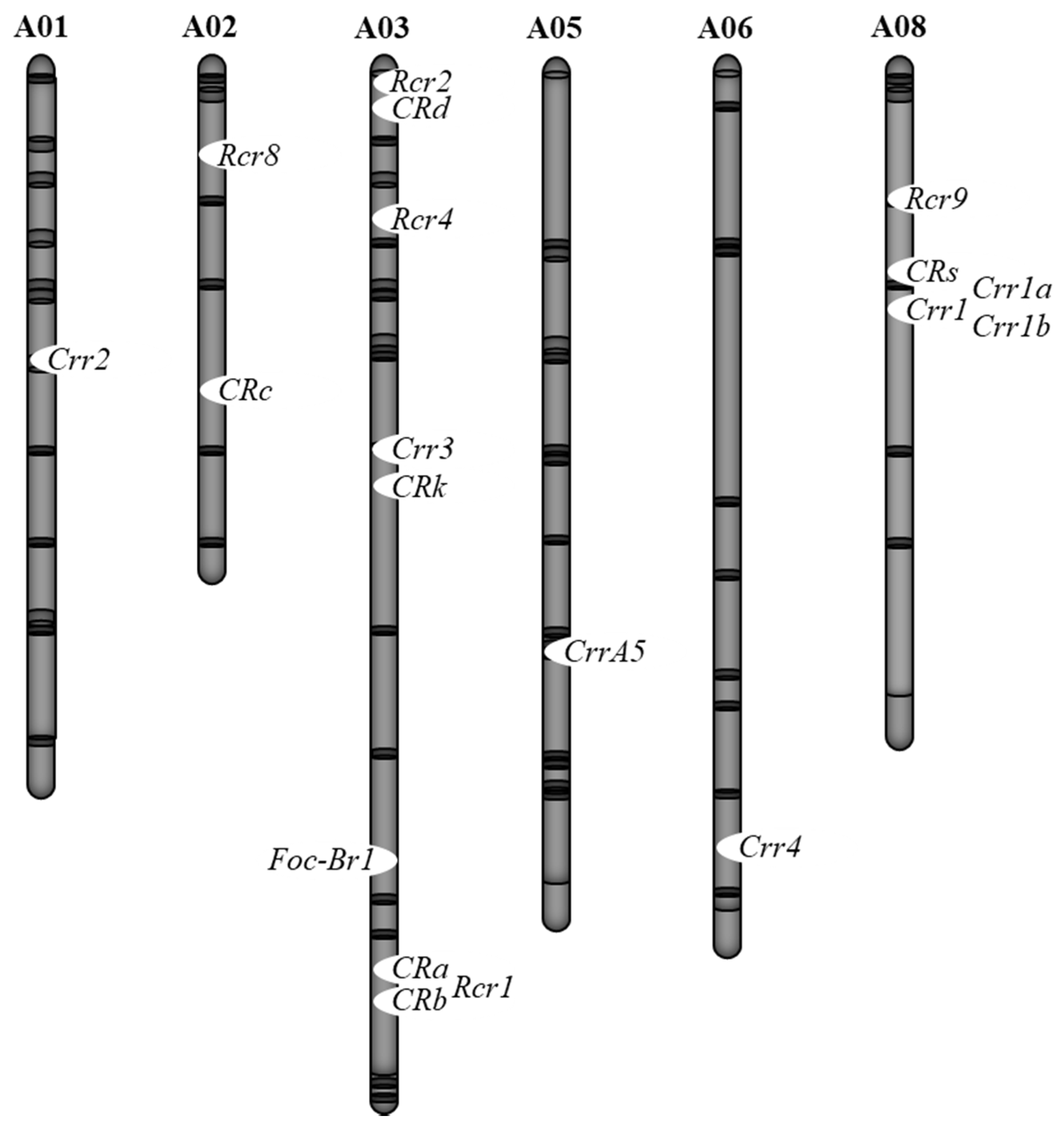 Plants 09 00726 g002