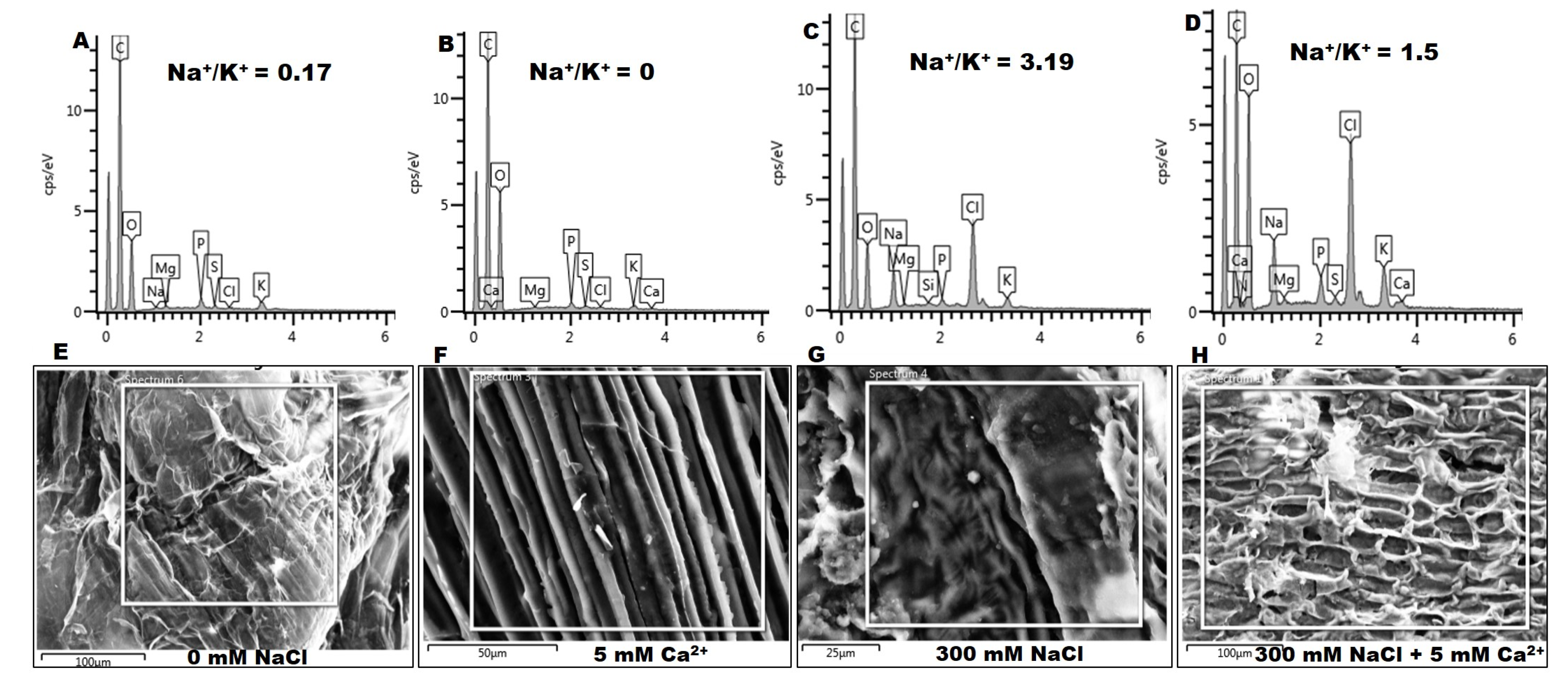 Plants 09 00730 g006 Plants 09 00730 g006