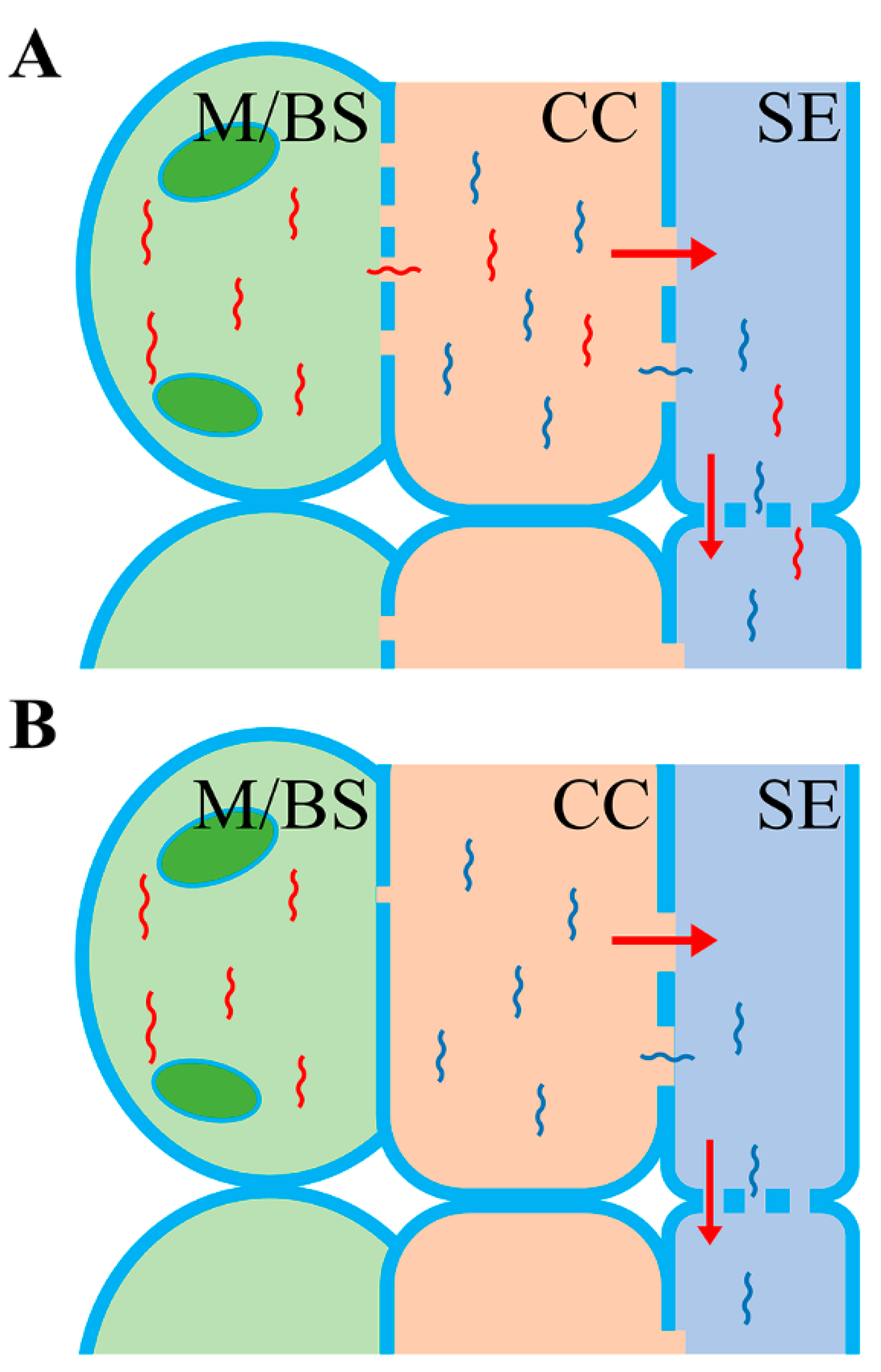 Plants 09 00731 g001