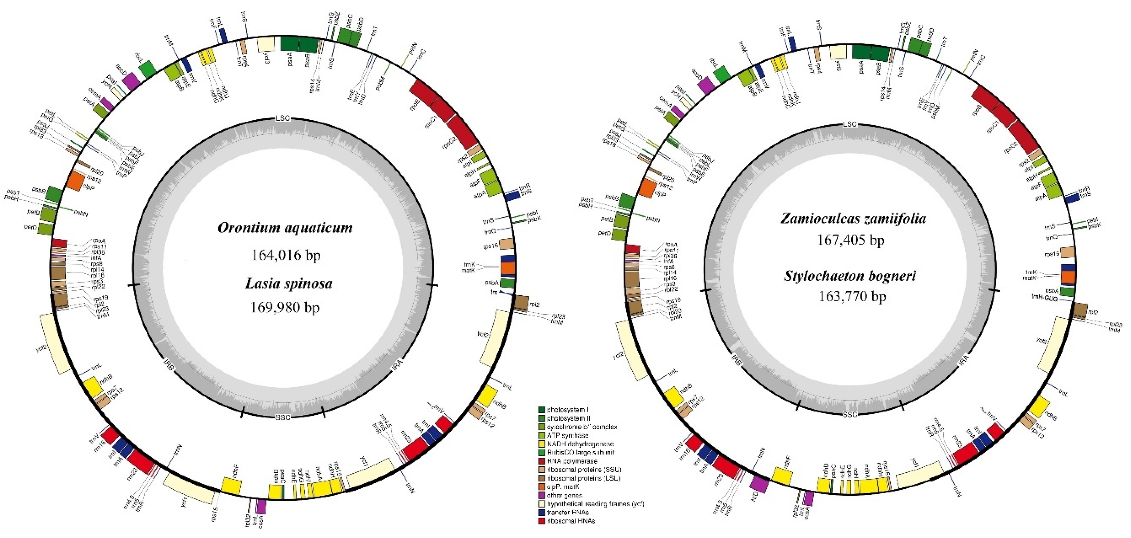 Plants 09 00737 g002