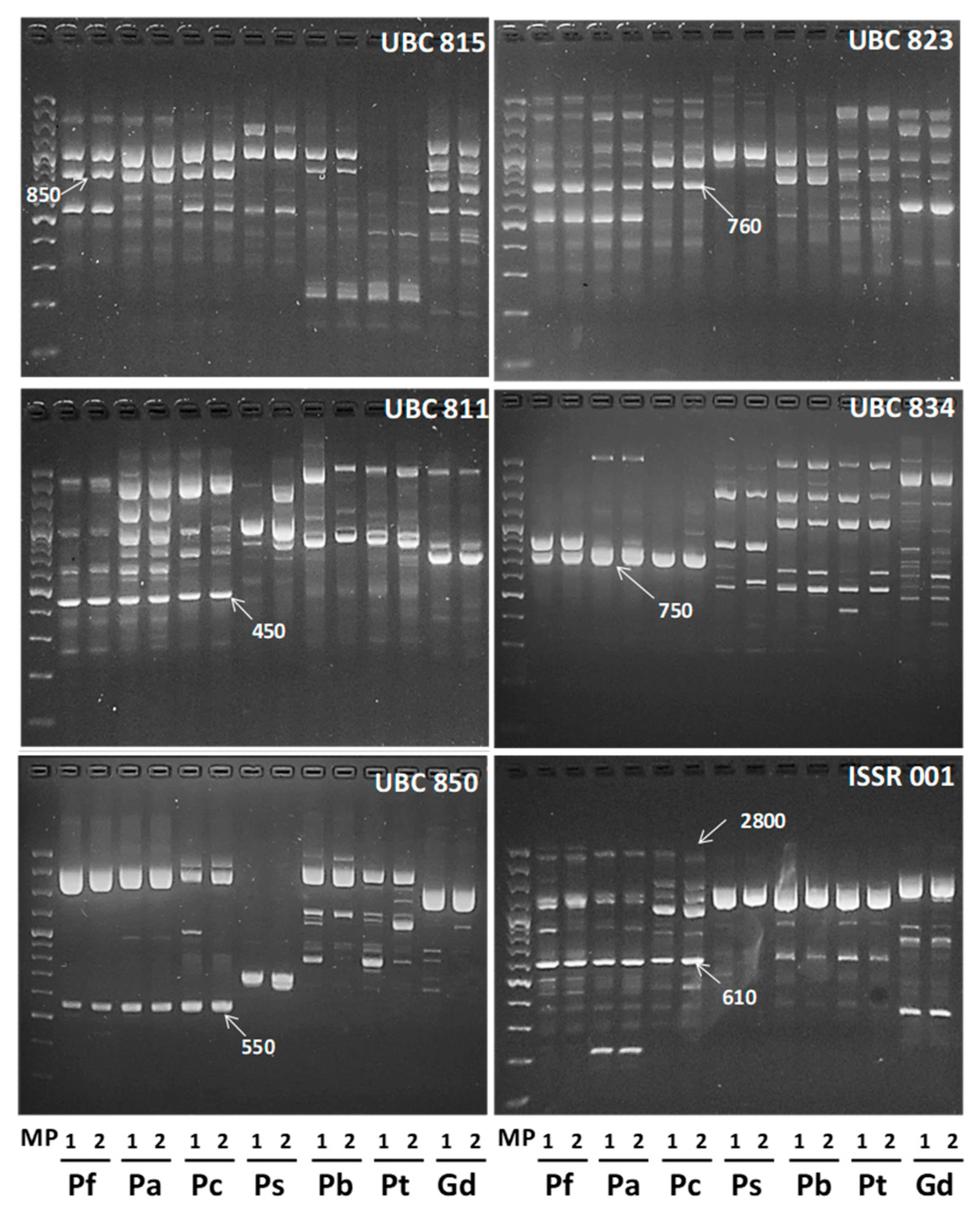 Plants 09 00744 g001