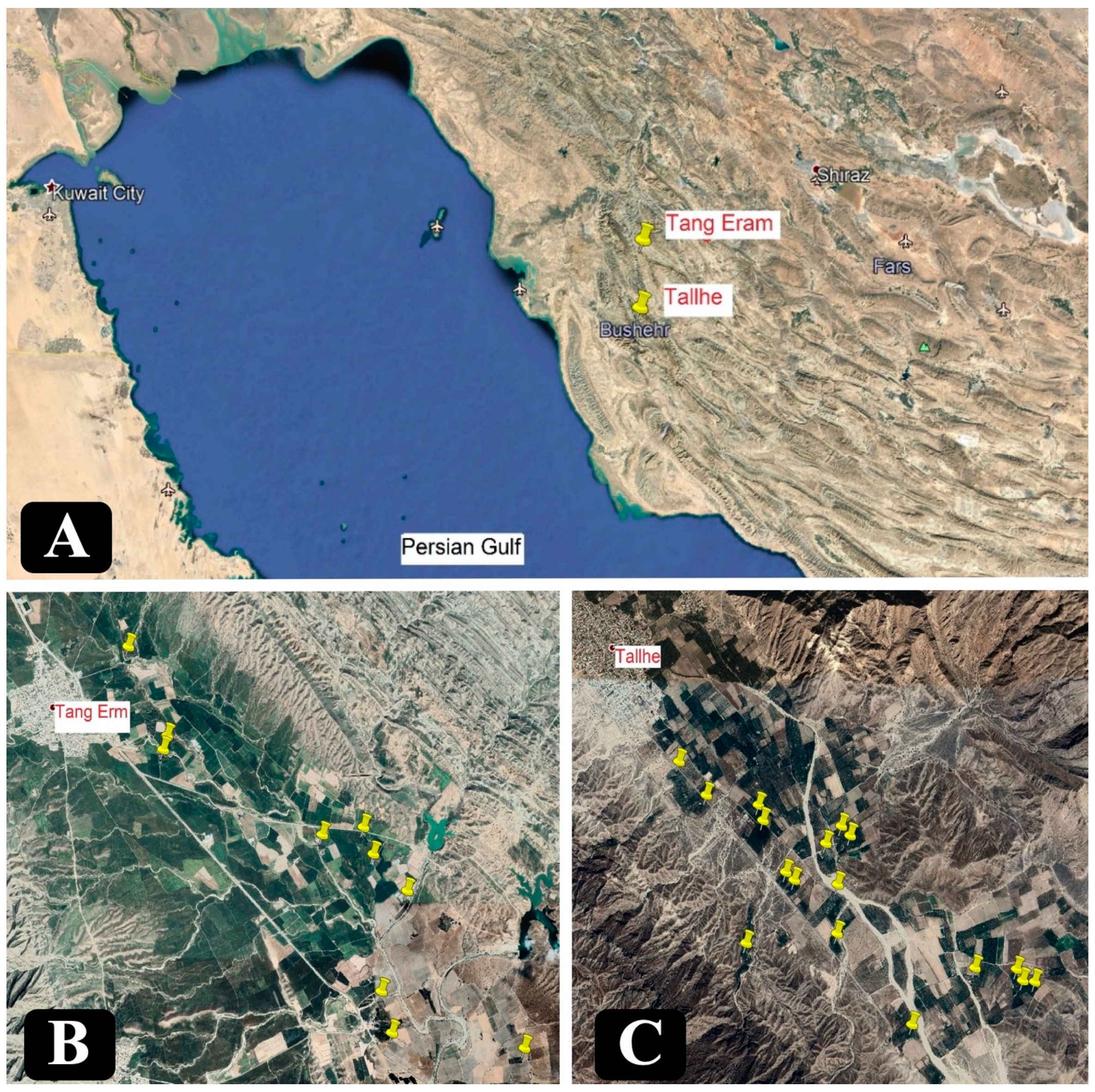 Plants 09 00754 g005