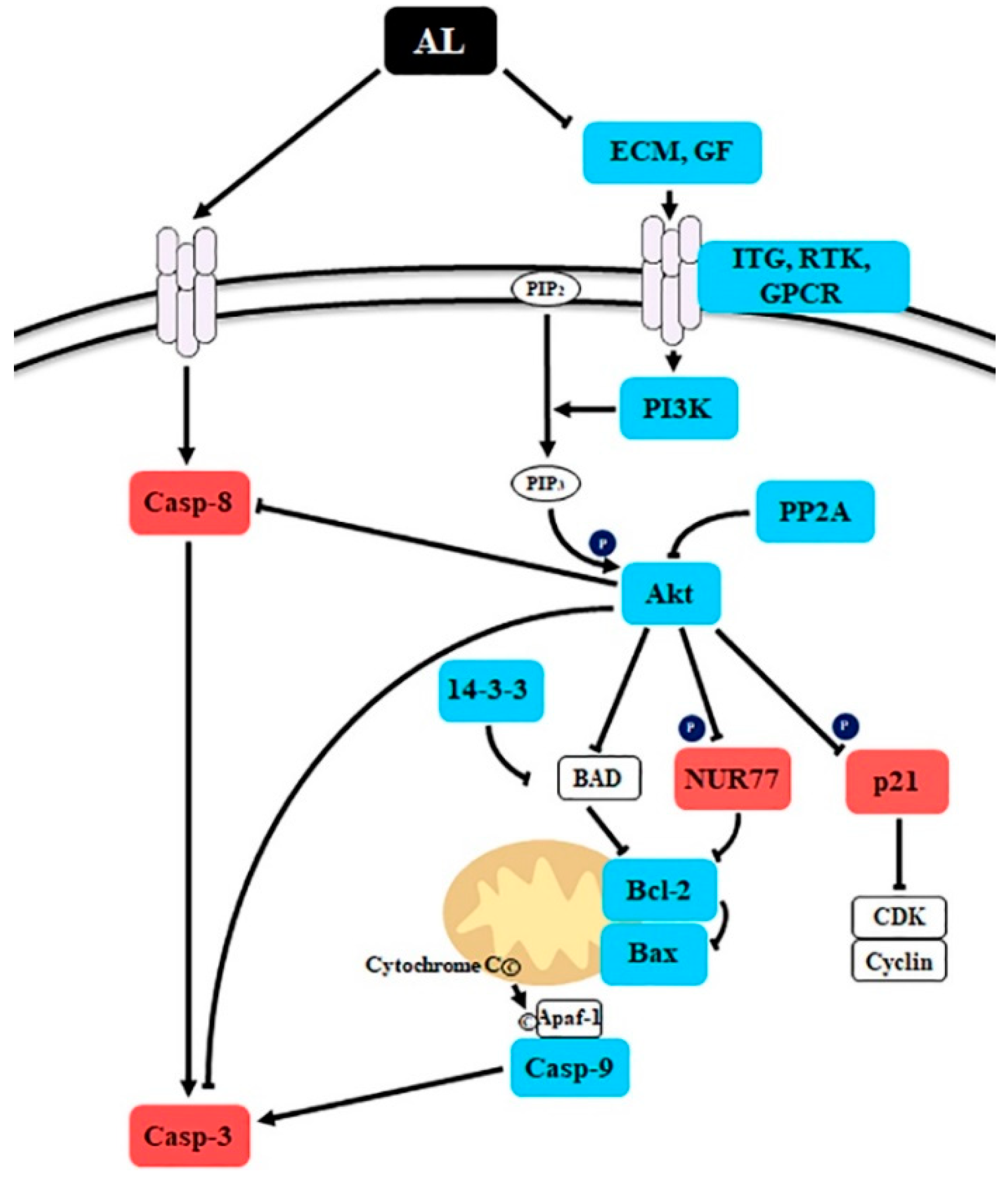 Plants 09 00757 g005