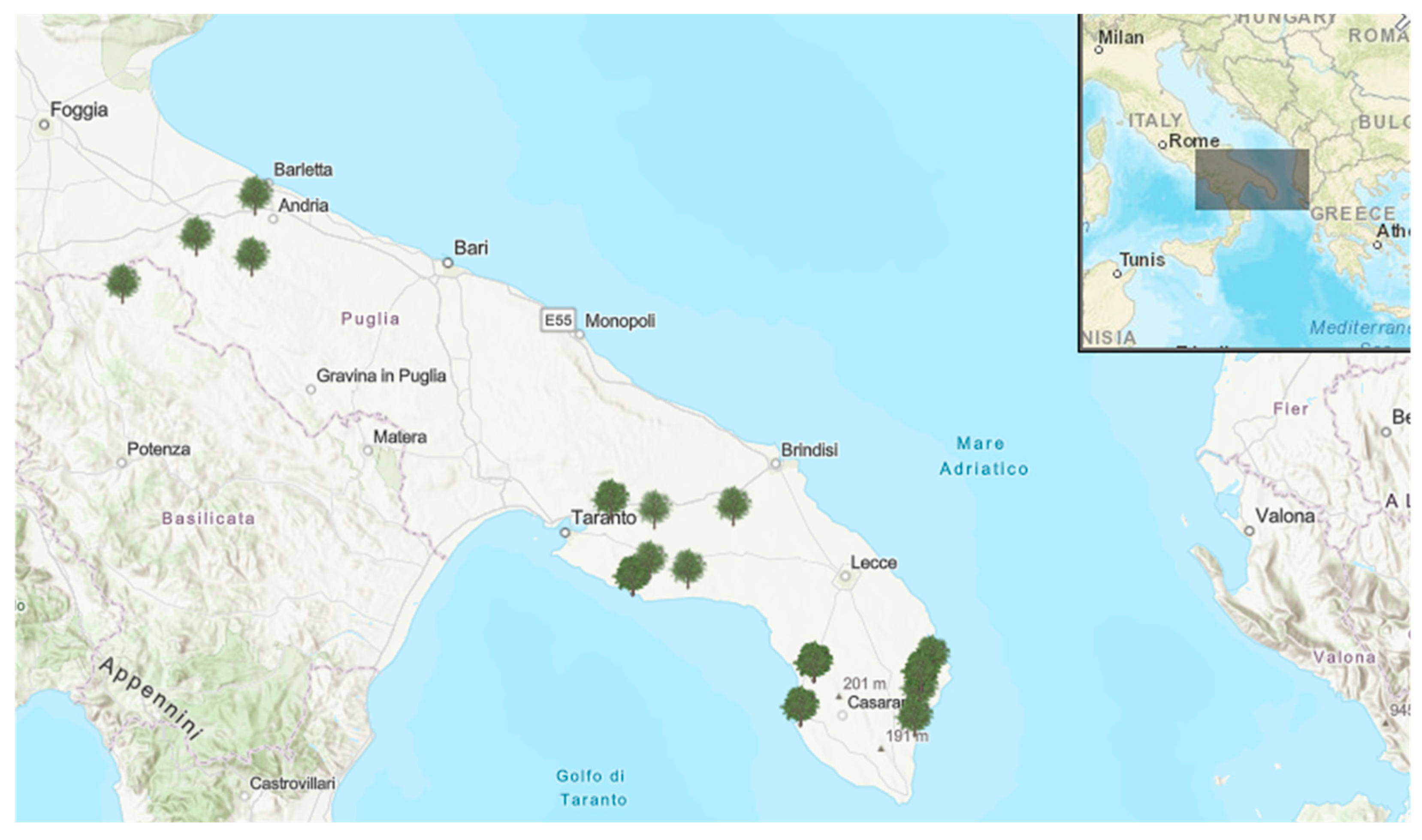 Plants 09 00760 g007 Plants 09 00760 g007