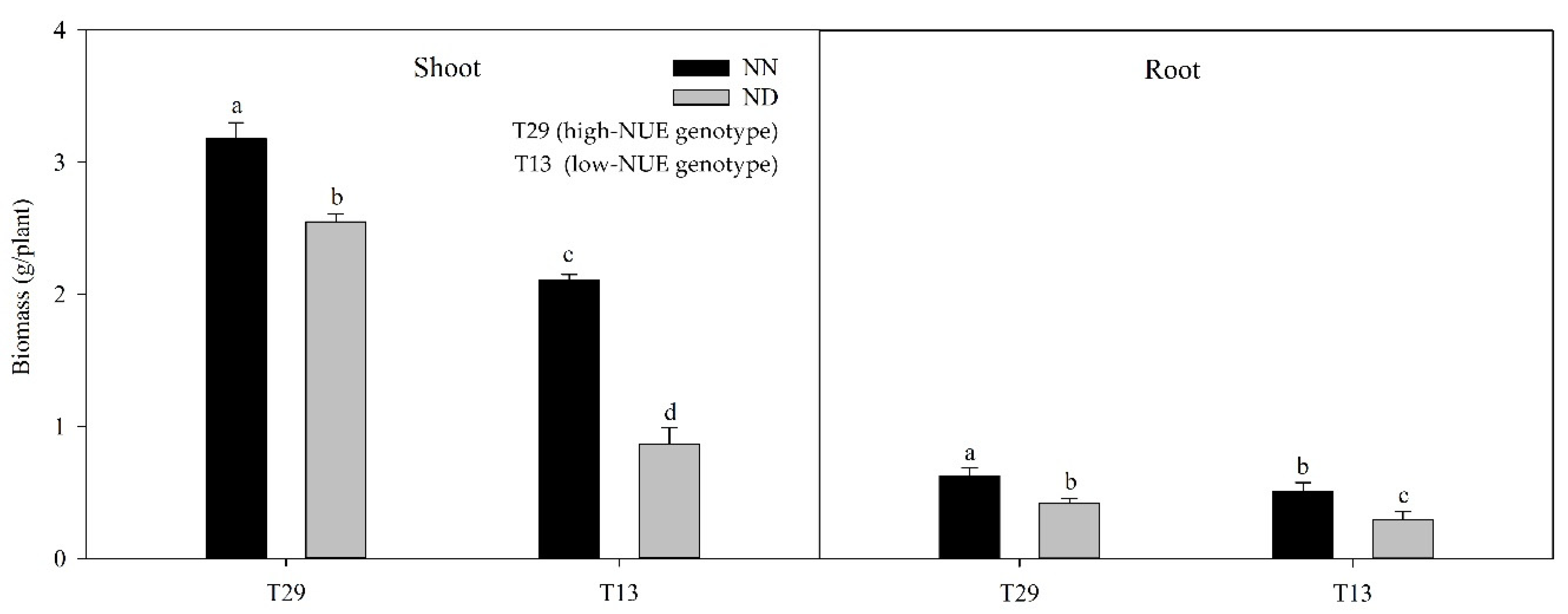 Plants 09 00767 g001