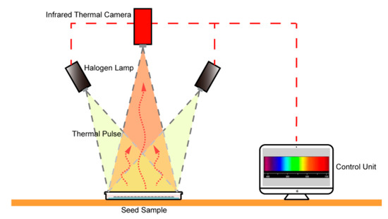 seed Inhibition of Bacterial Adhesion and Biofilm Formation by