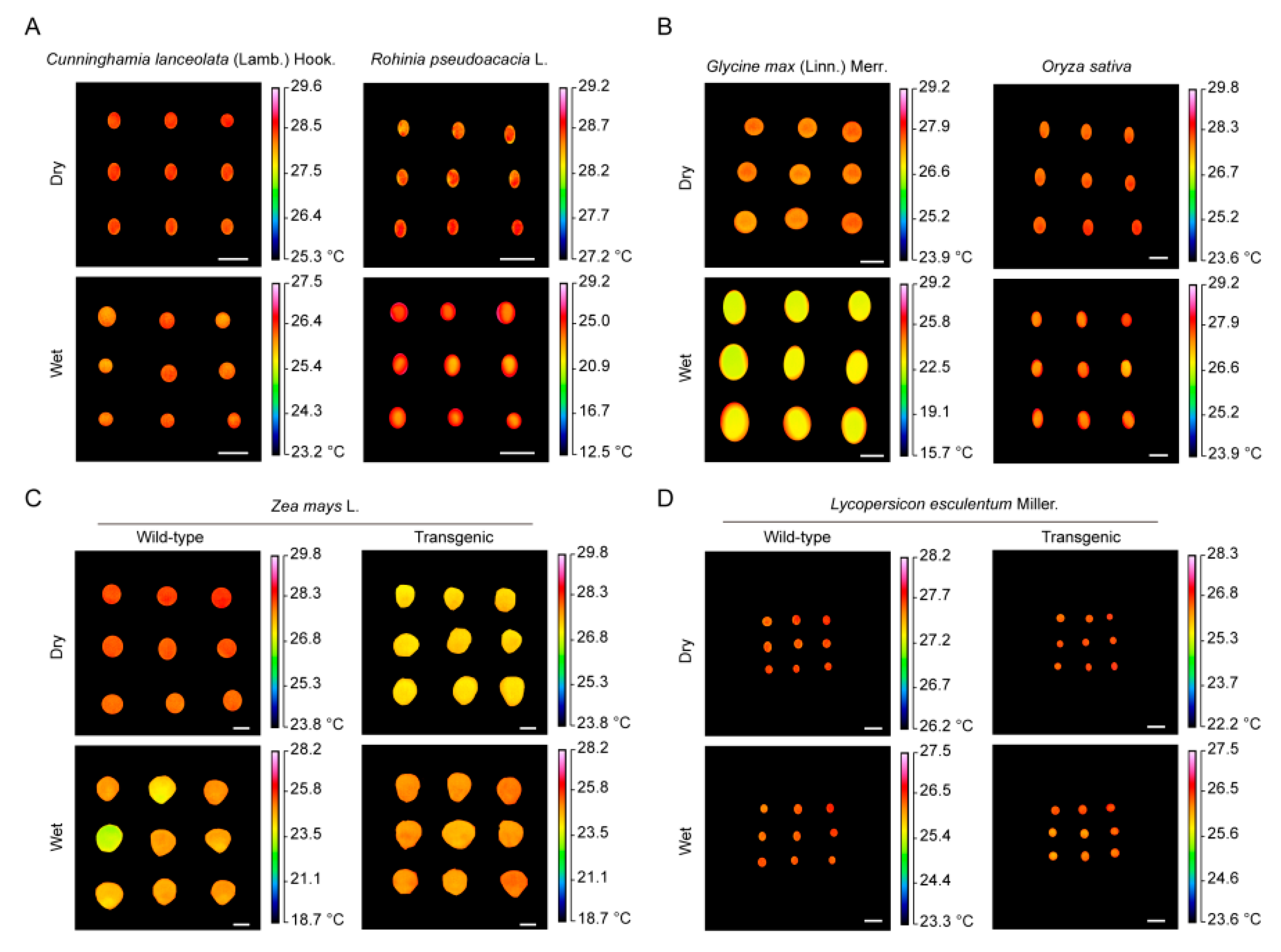 Plants 09 00768 g006