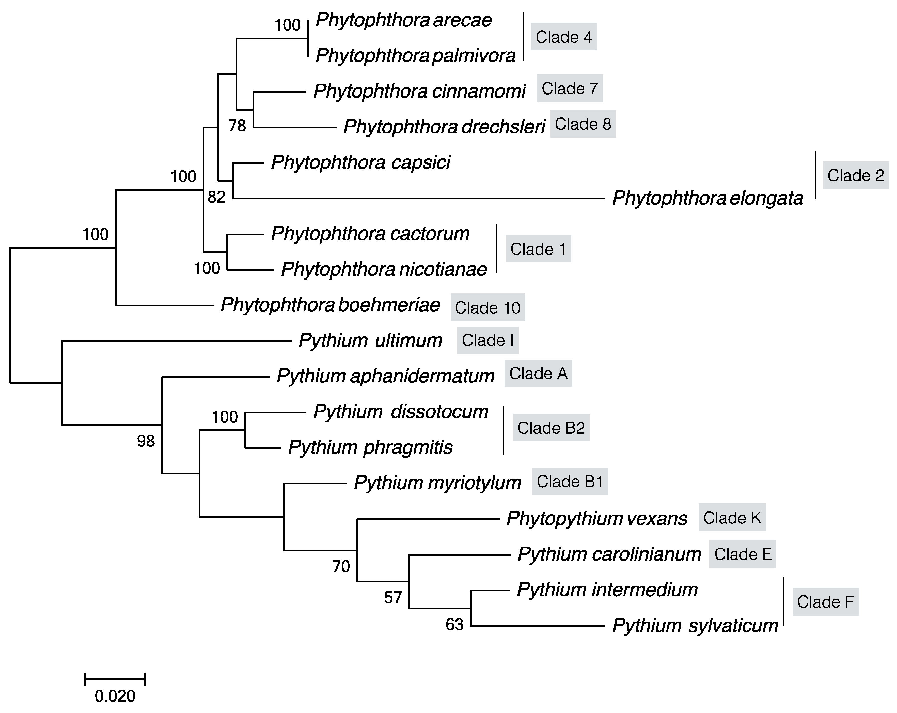 Plants 09 00769 g002