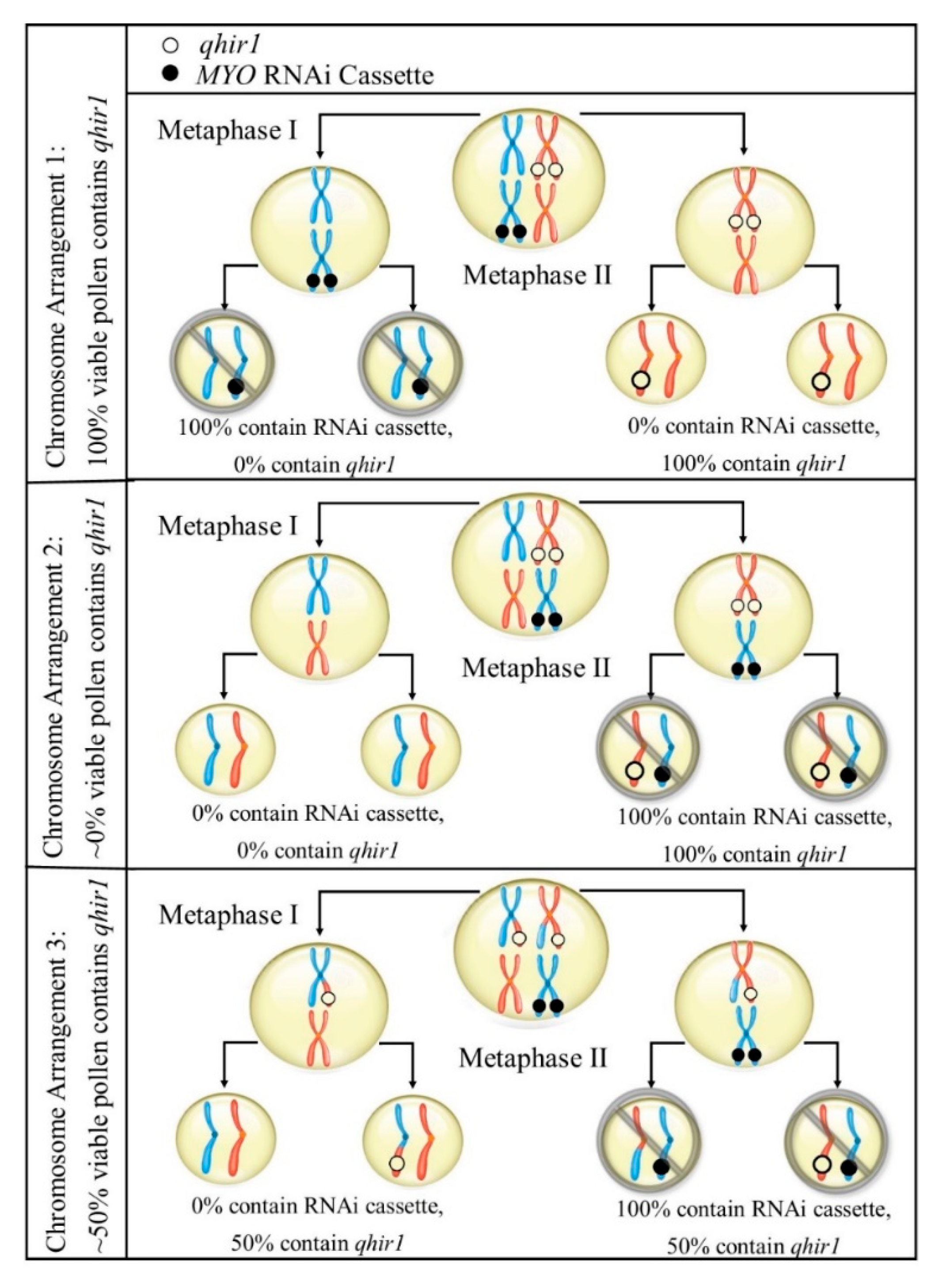 Plants 09 00773 g003 Plants 09 00773 g003