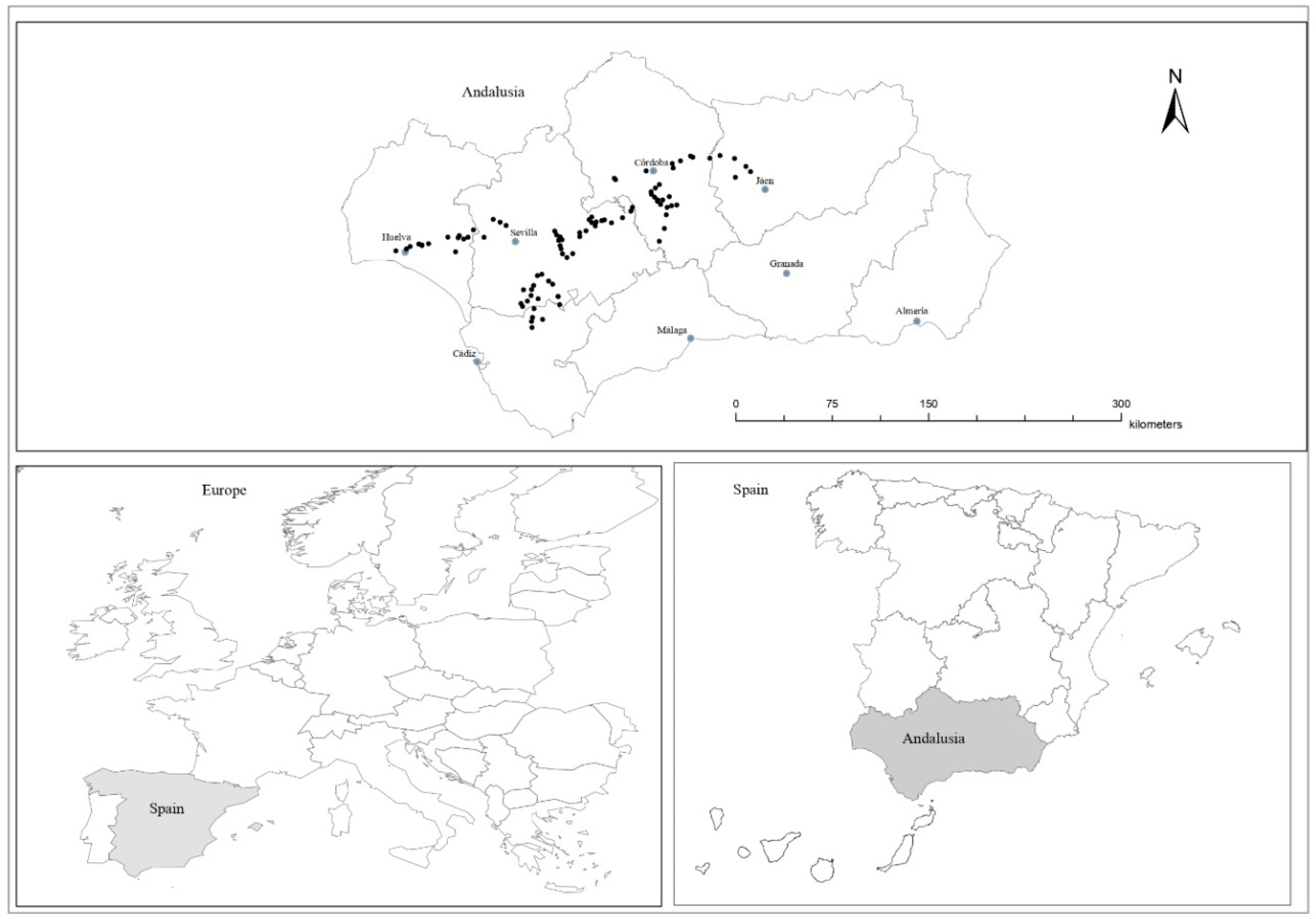 Plants 09 00778 g003