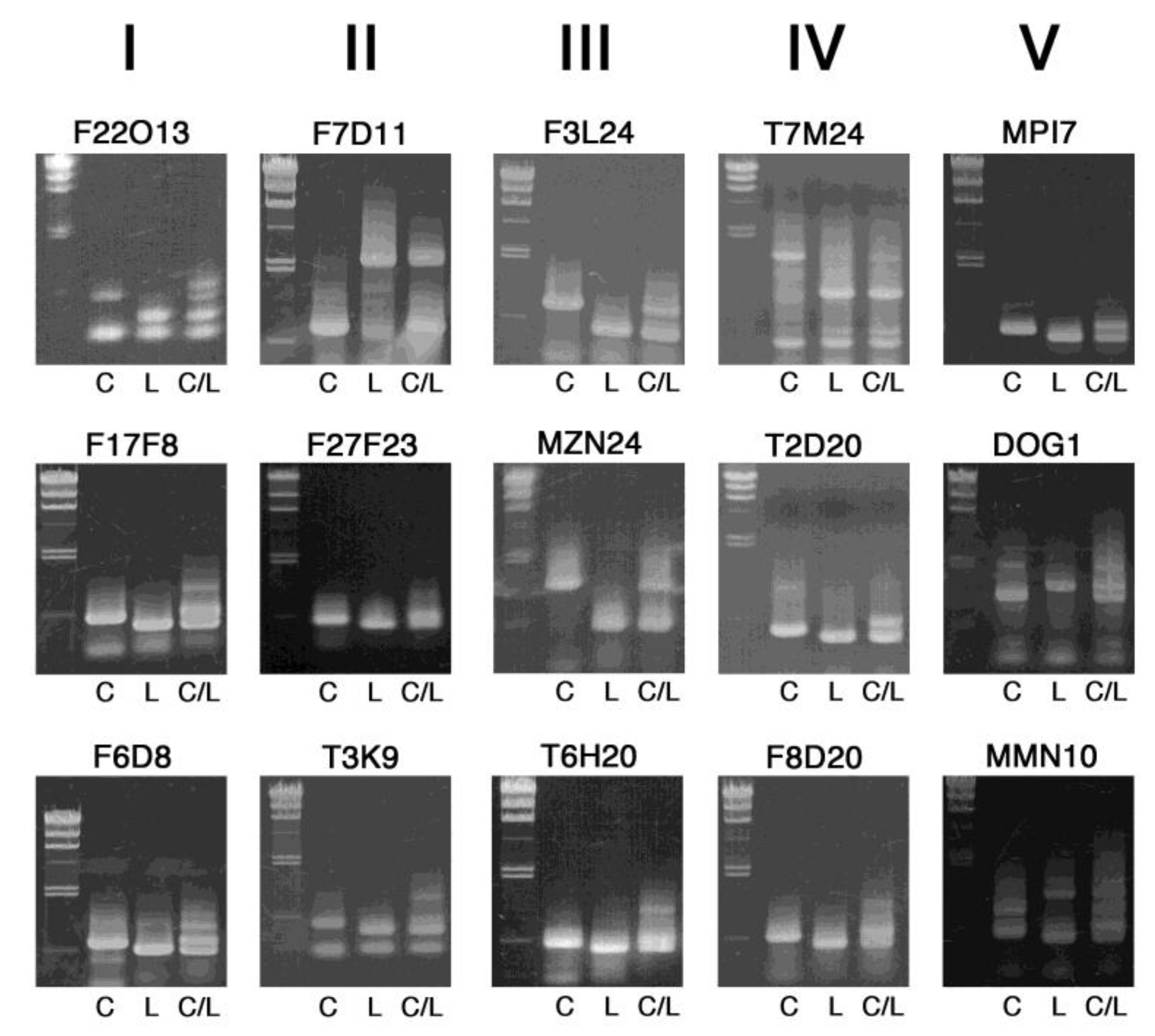 Plants 09 00779 g002