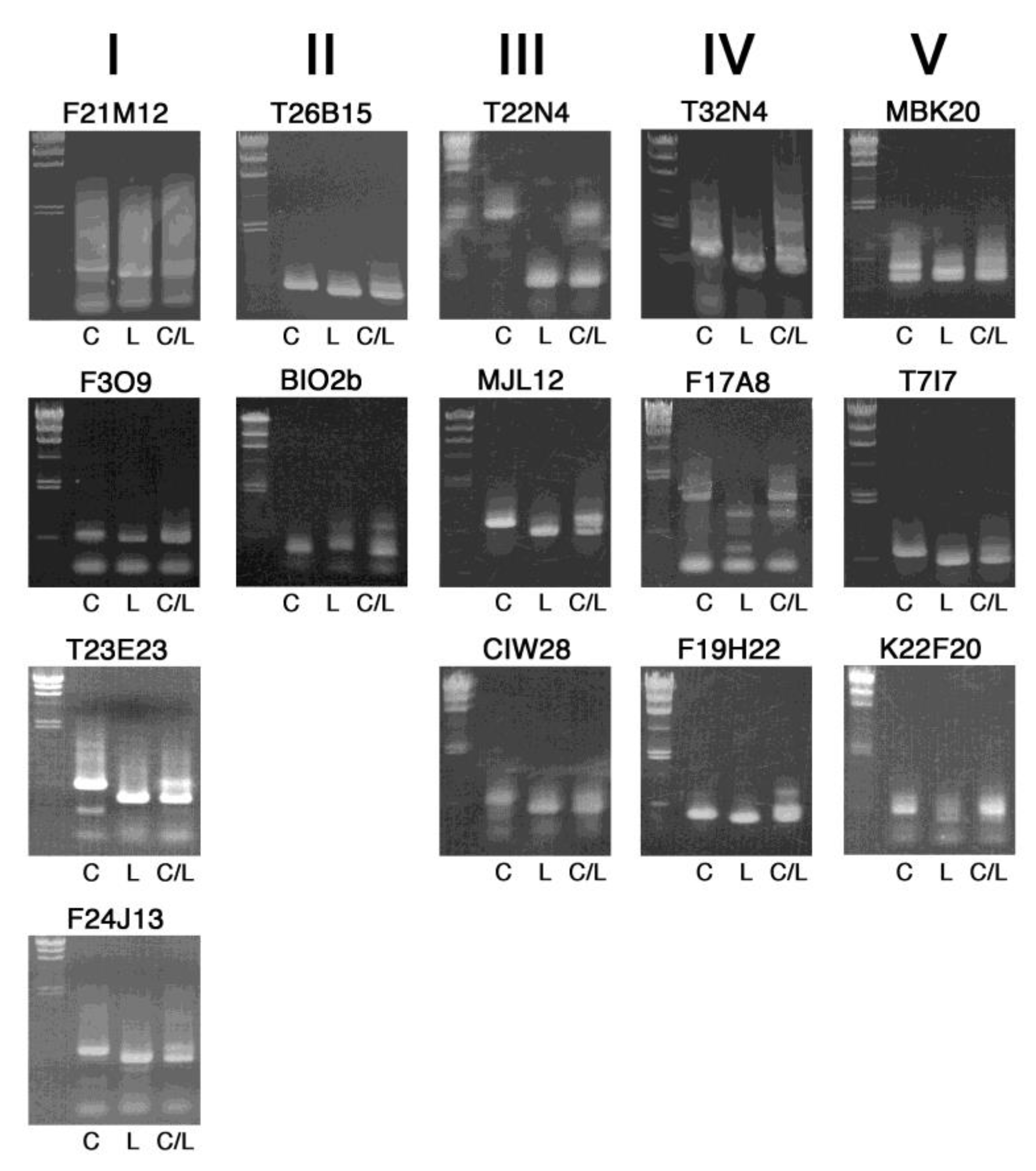 Plants 09 00779 g003 Plants 09 00779 g003
