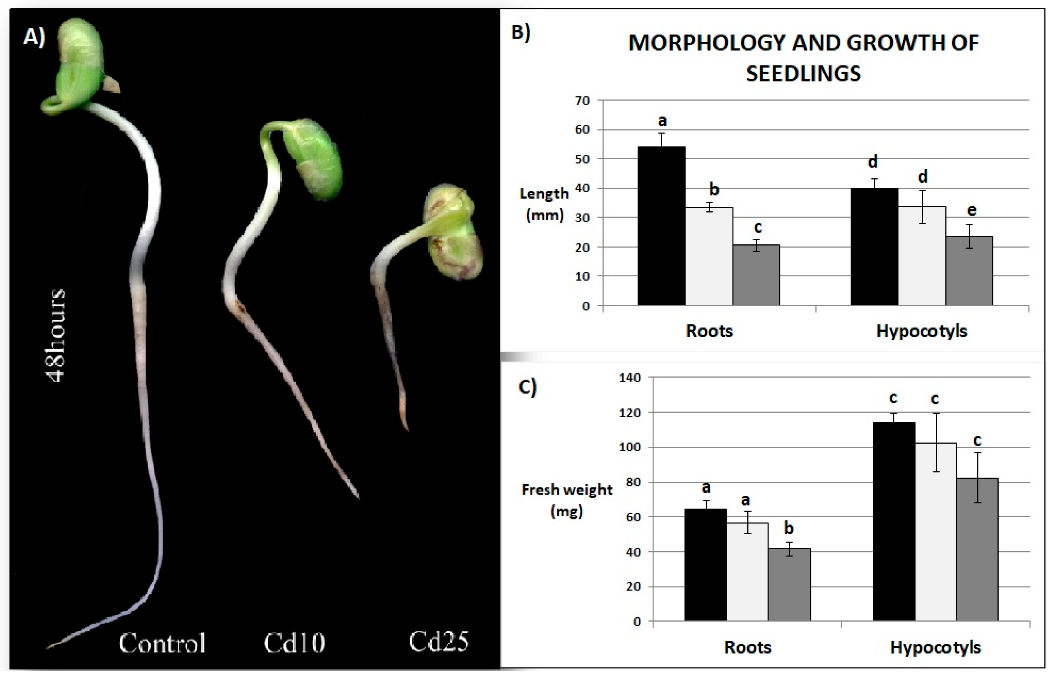 Plants 09 00782 g002