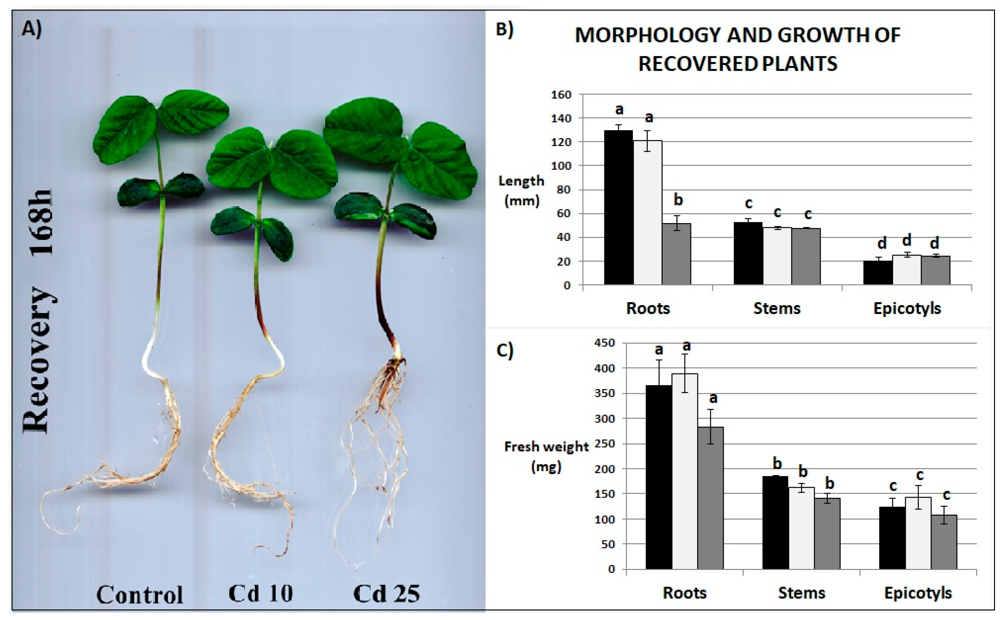 Plants 09 00782 g003