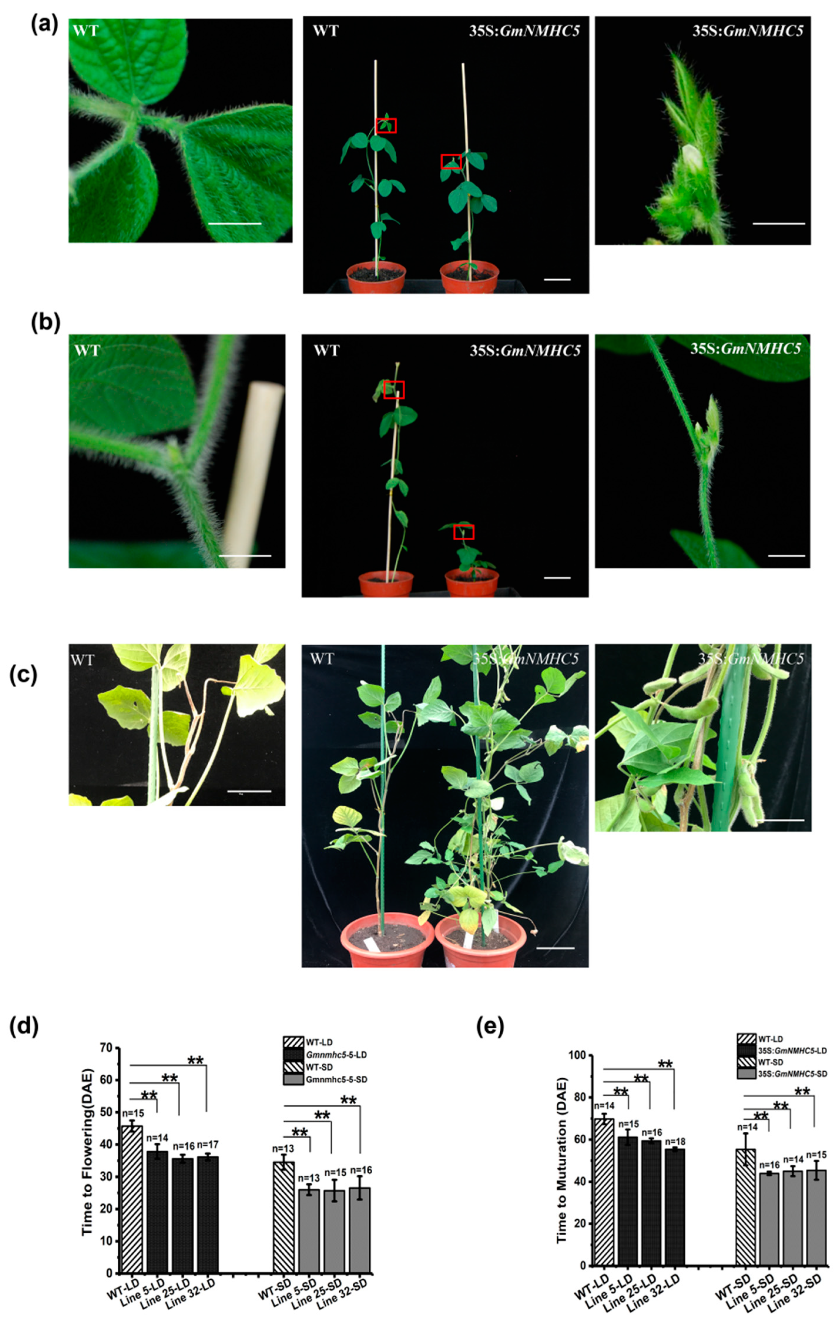 Plants 09 00792 g001