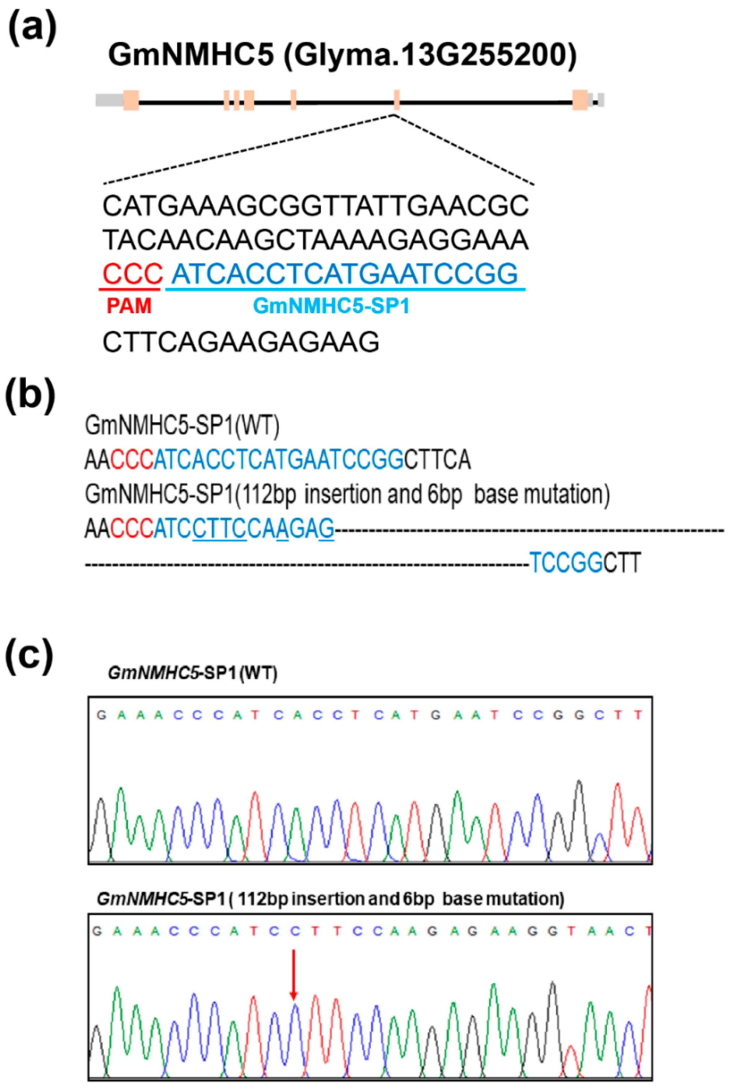 Plants 09 00792 g003