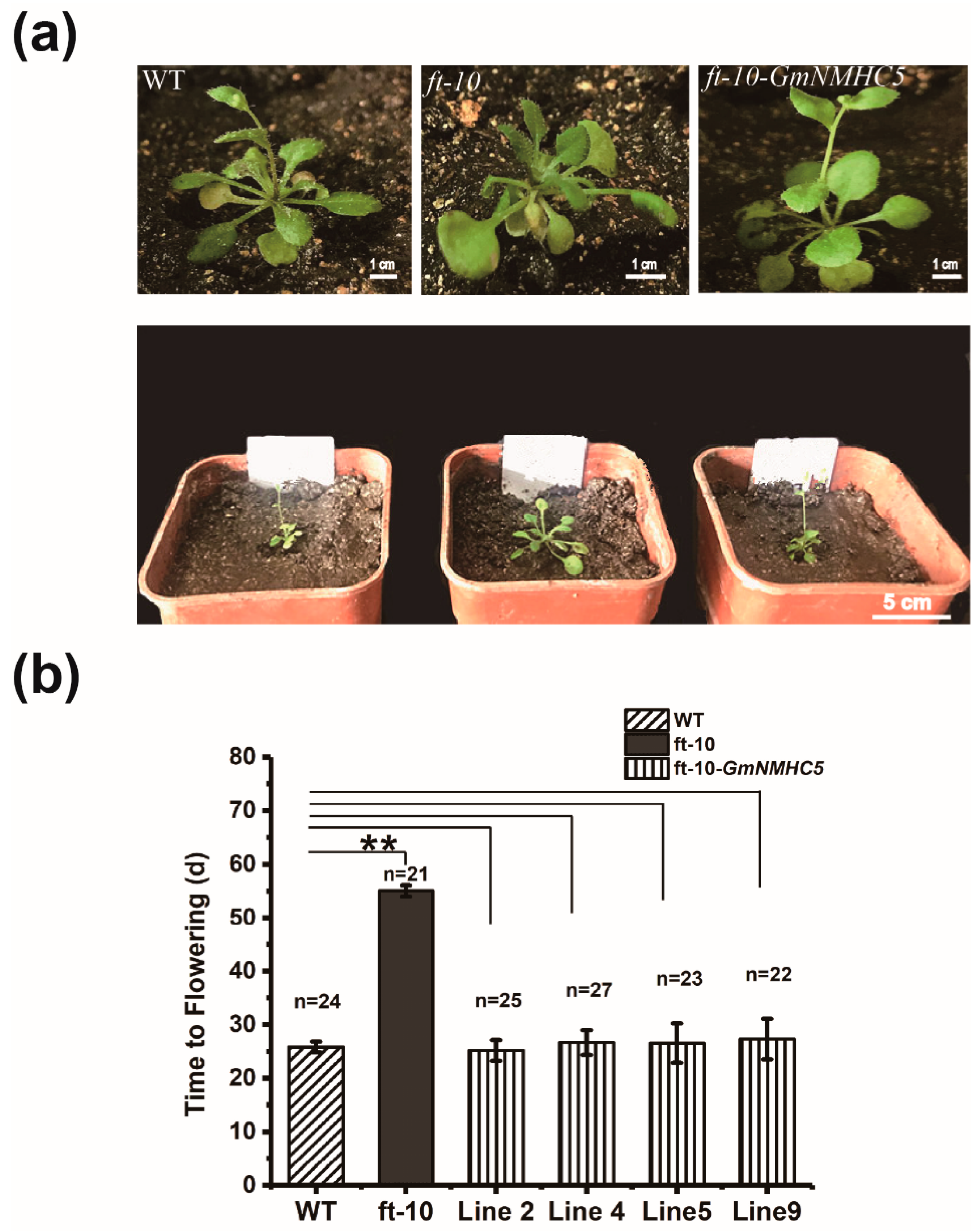 Plants 09 00792 g006