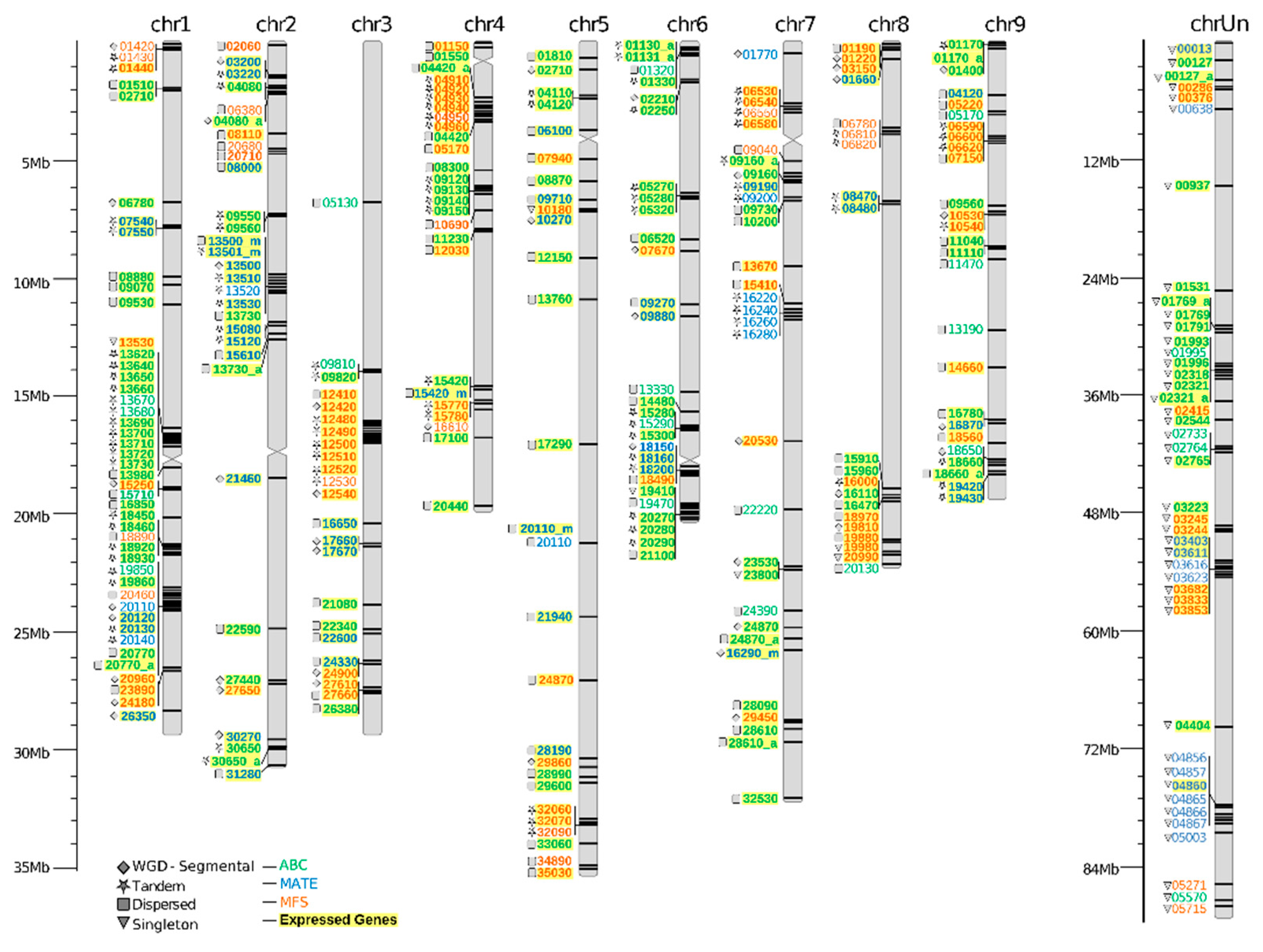 Plants 09 00794 g001