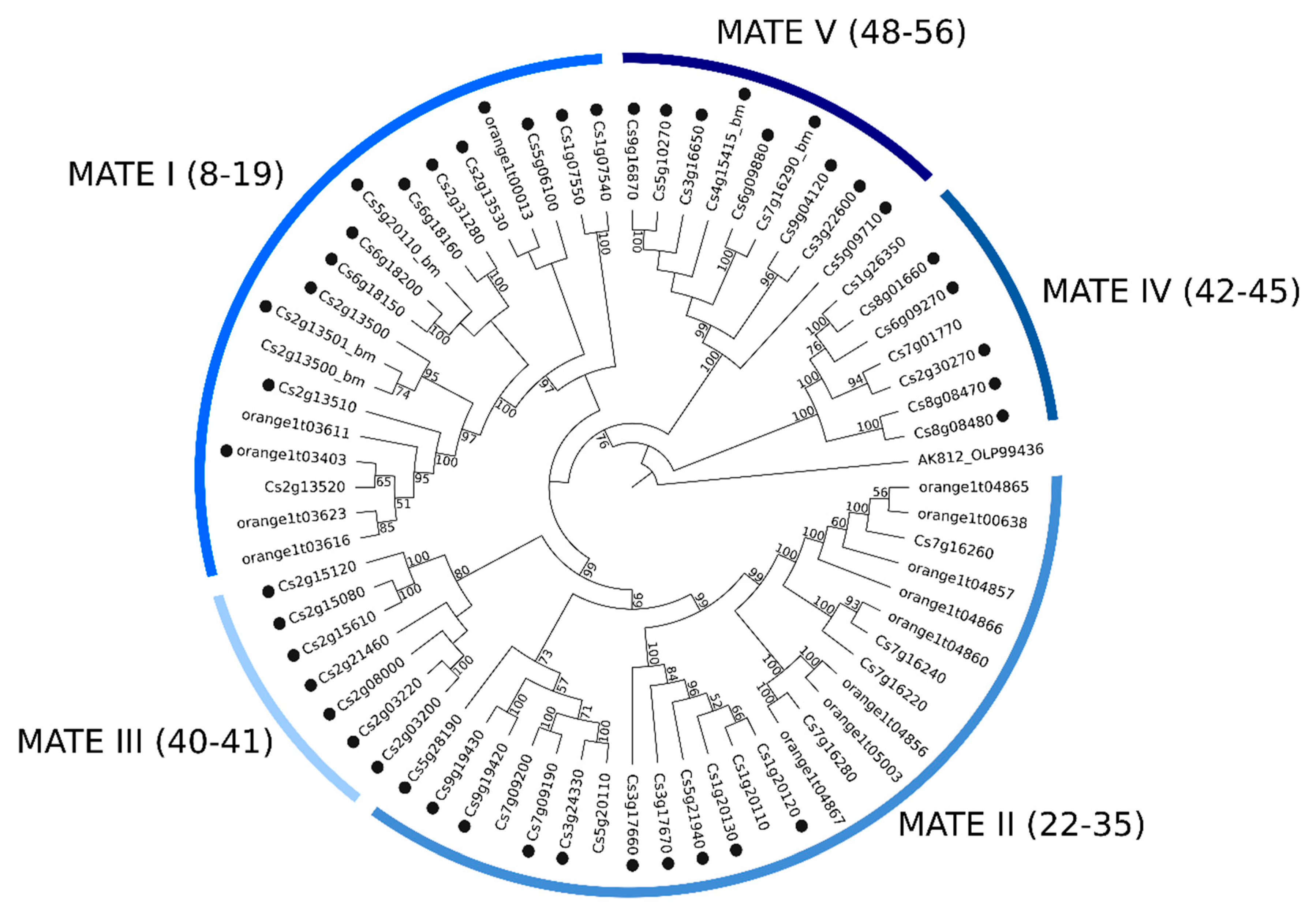 Plants 09 00794 g003