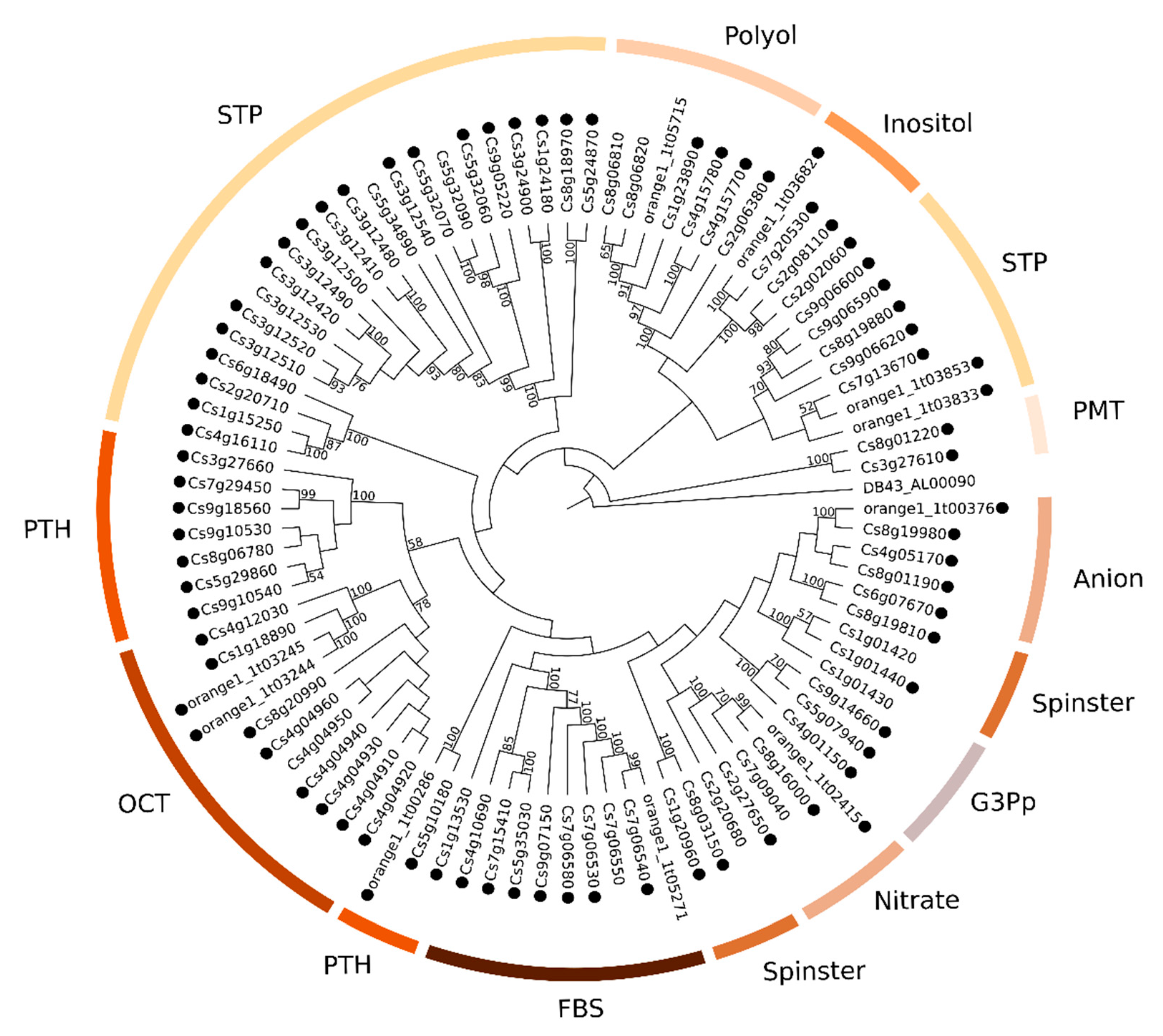Plants 09 00794 g005