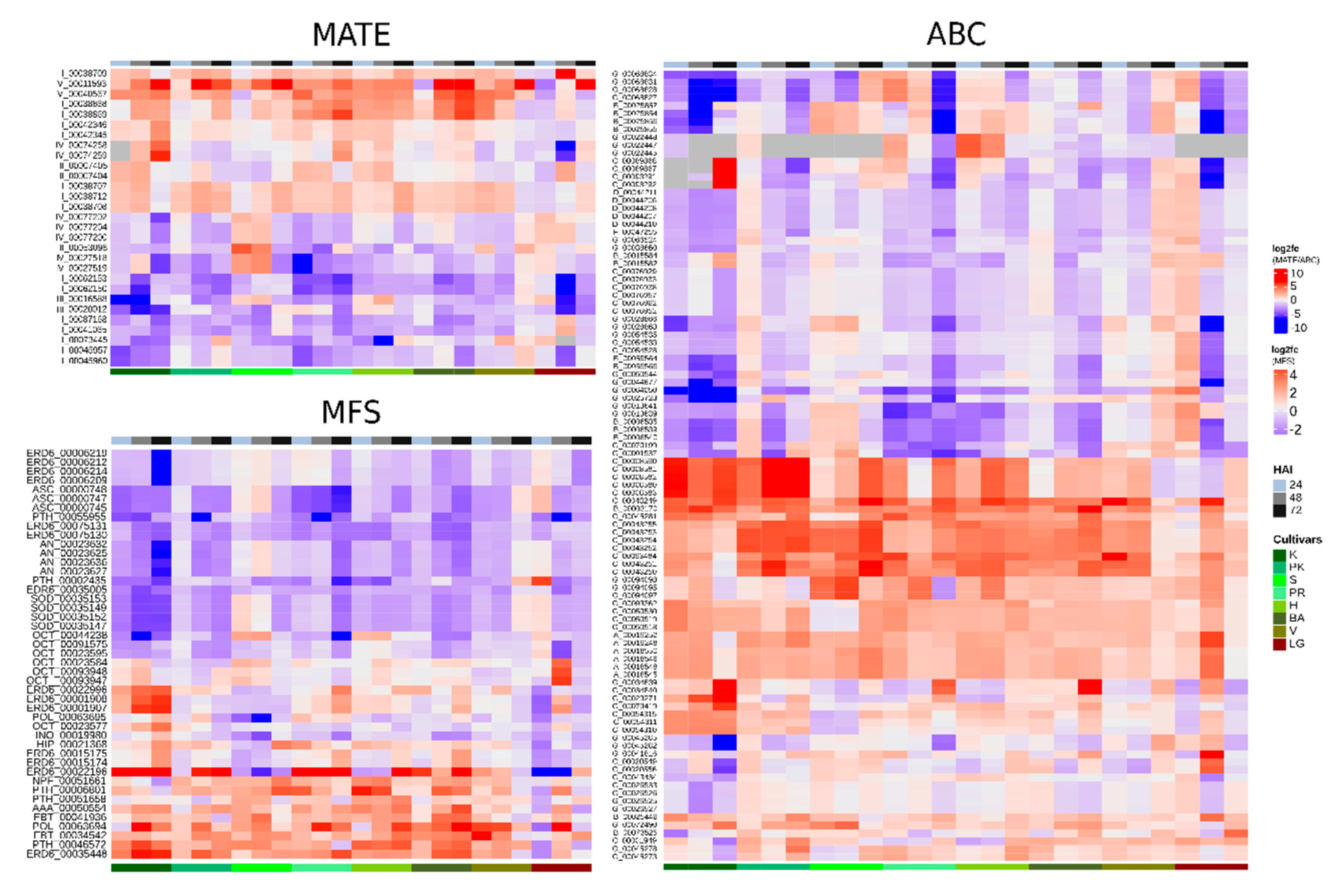 Plants Free Full Text A Genomic And Transcriptomic Overview Of Mate Abc And Mfs Transporters In Citrus Sinensis Interaction With Xanthomonas Citri Subsp Citri Html