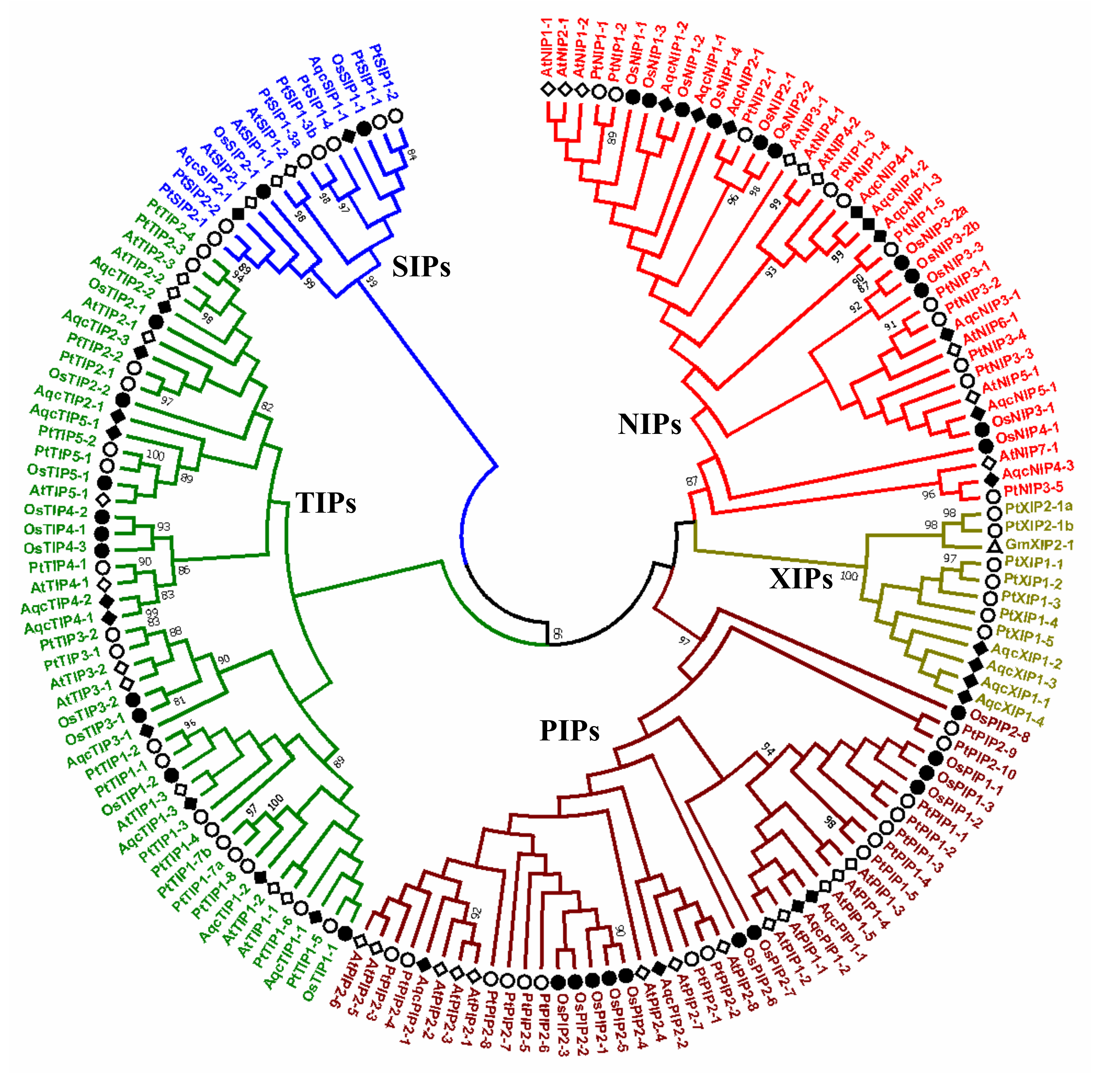 Plants 09 00799 g001