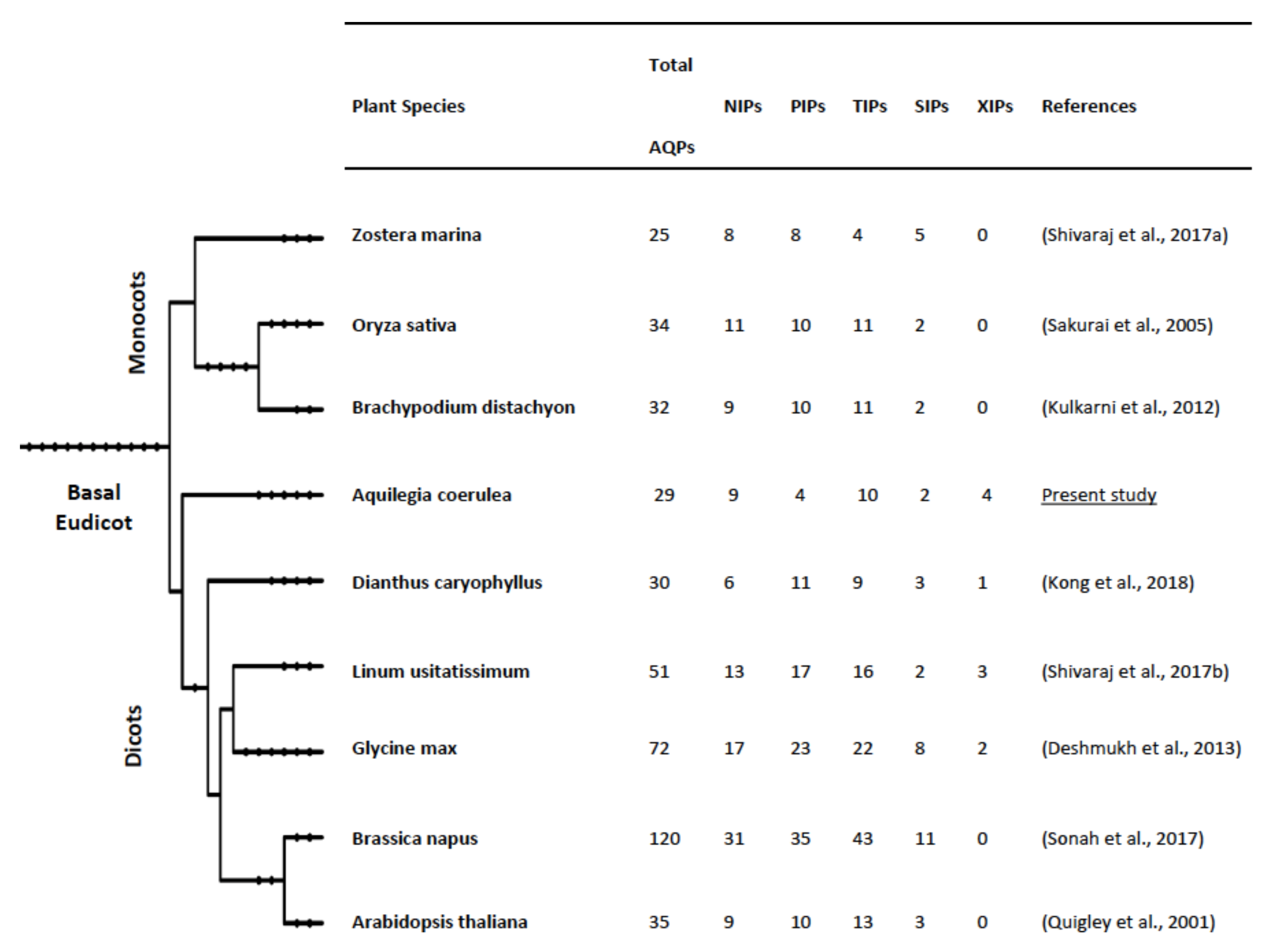 Plants 09 00799 g002