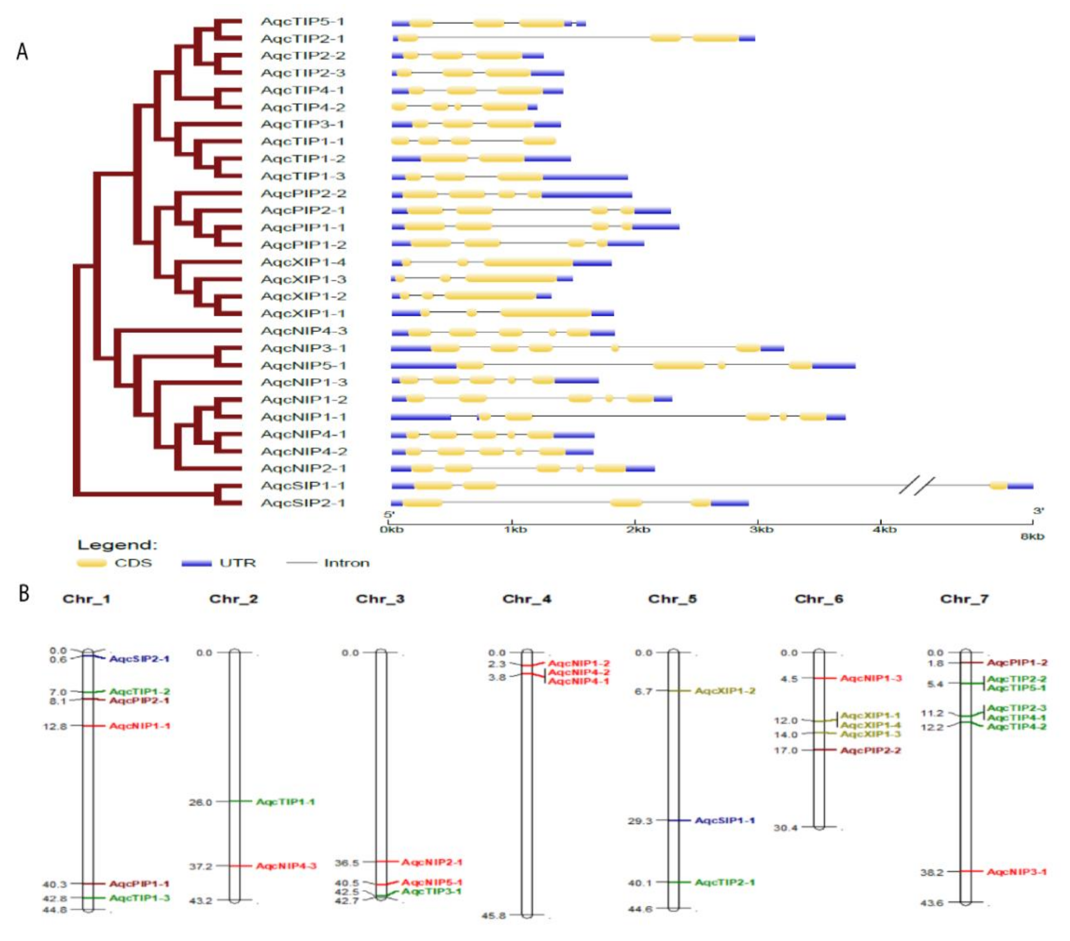 Plants 09 00799 g003