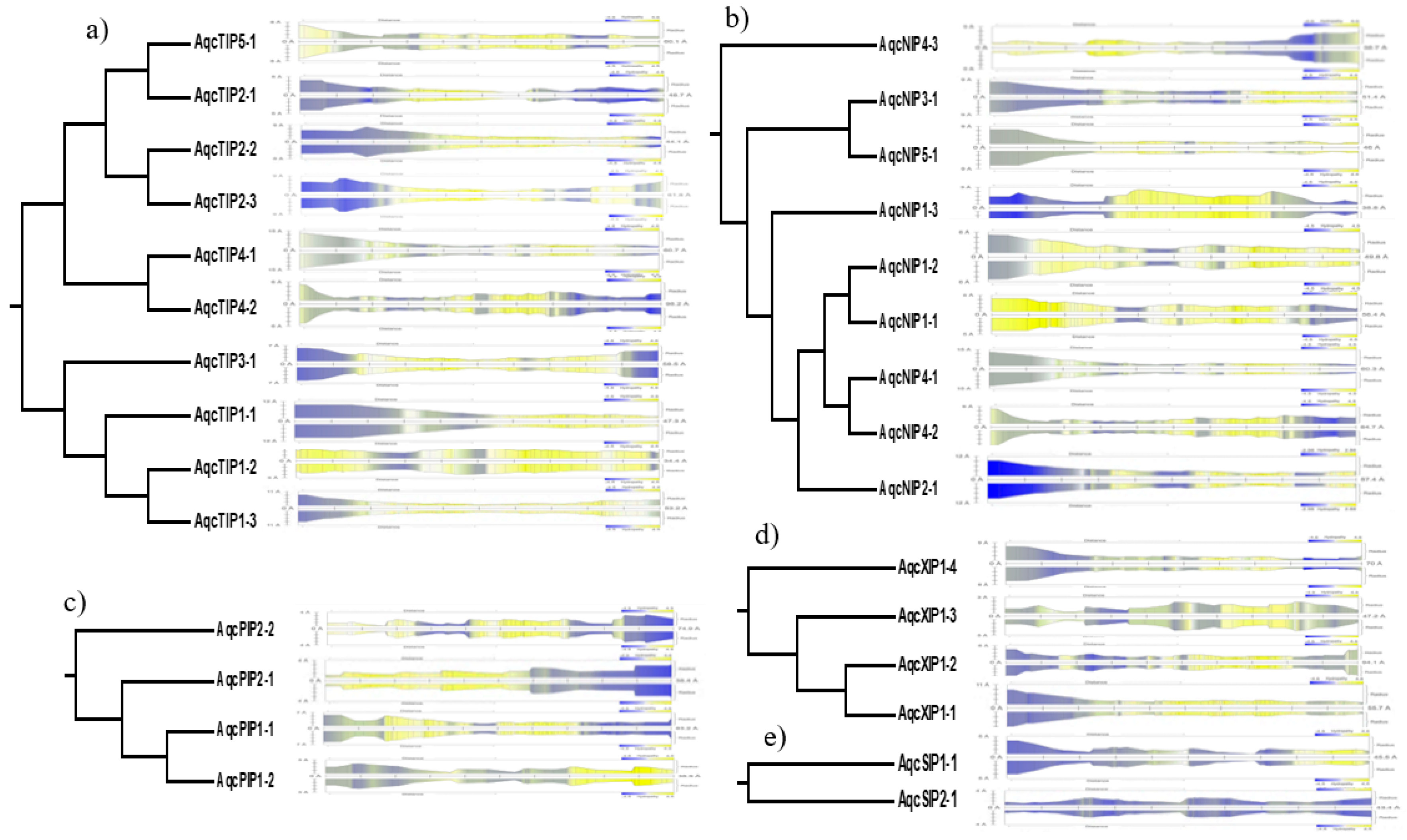 Plants 09 00799 g005