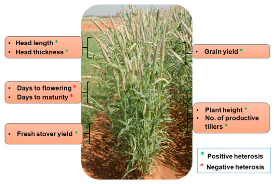 Plants 09 00807 g002 550