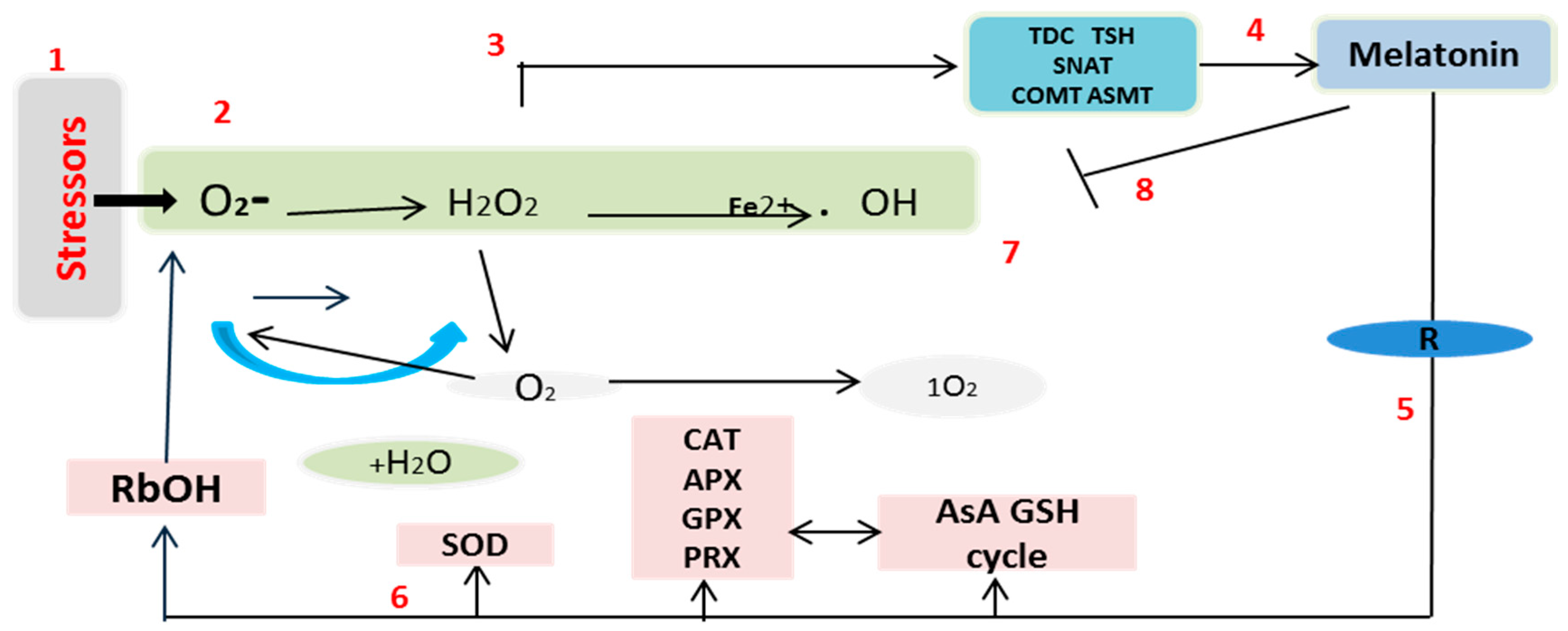 Plants 09 00809 g008