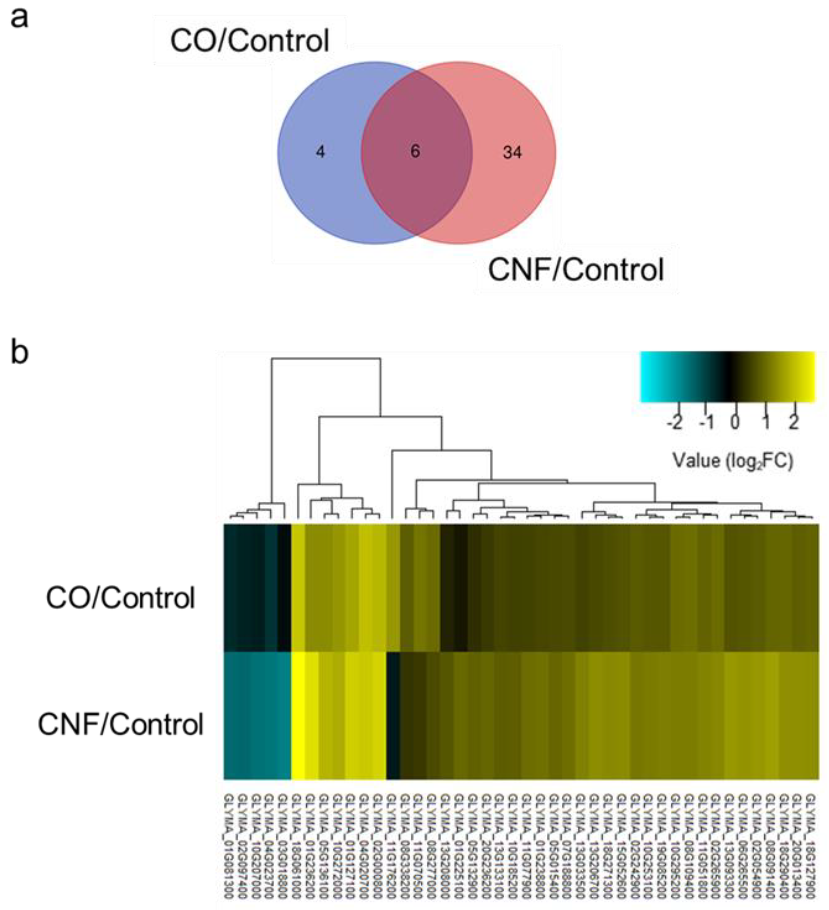 Plants 09 00810 g002