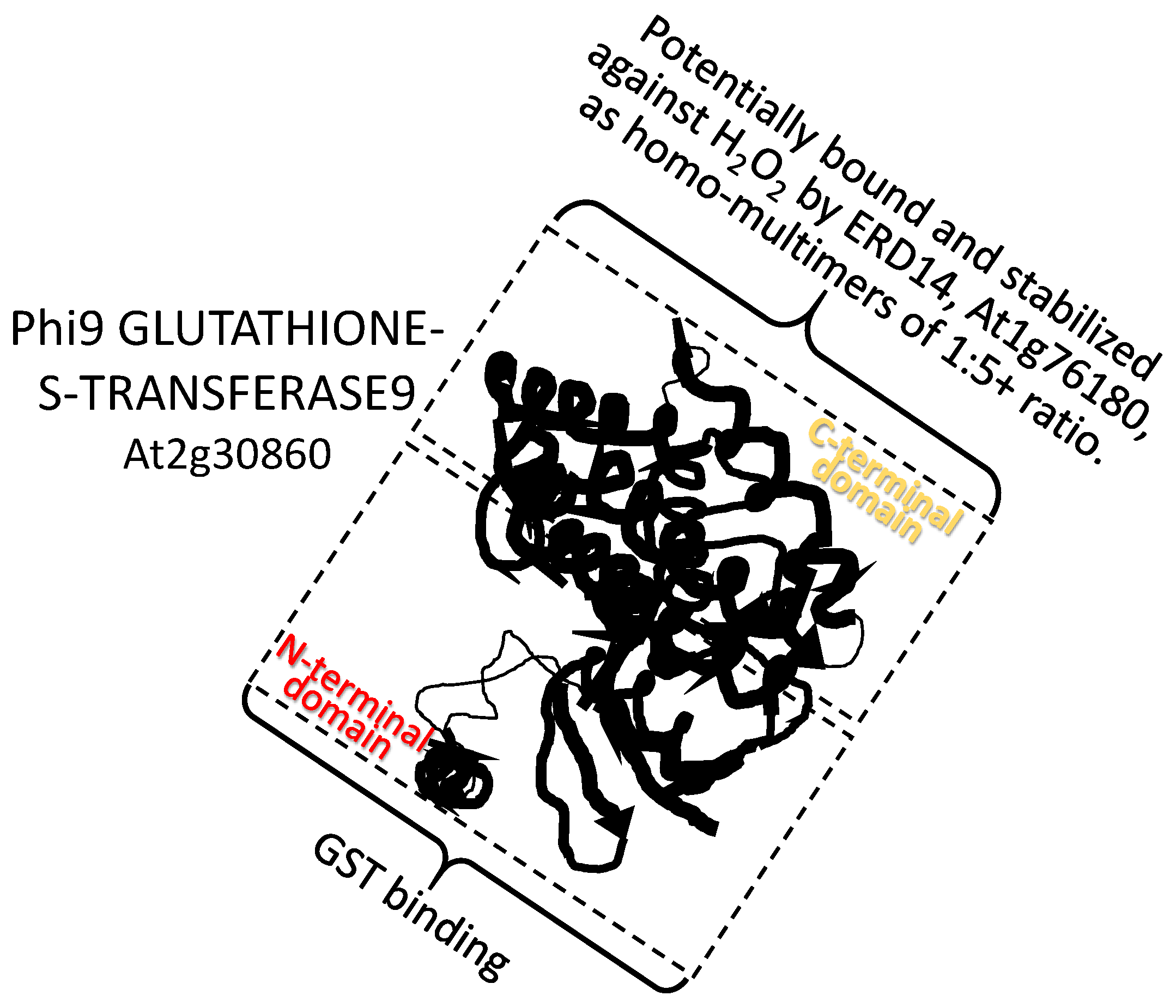 Plants 09 00814 g002