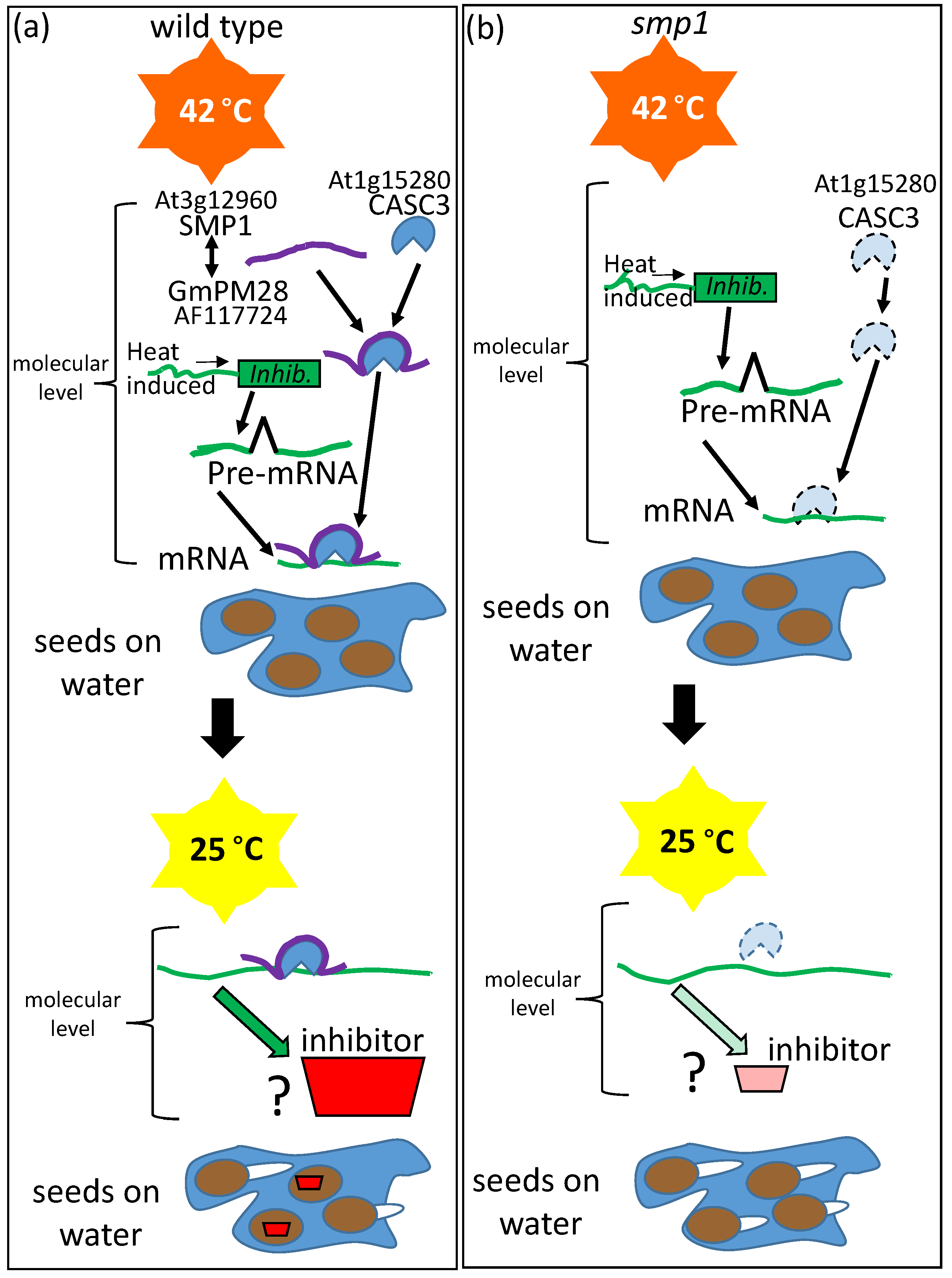 Plants 09 00814 g007